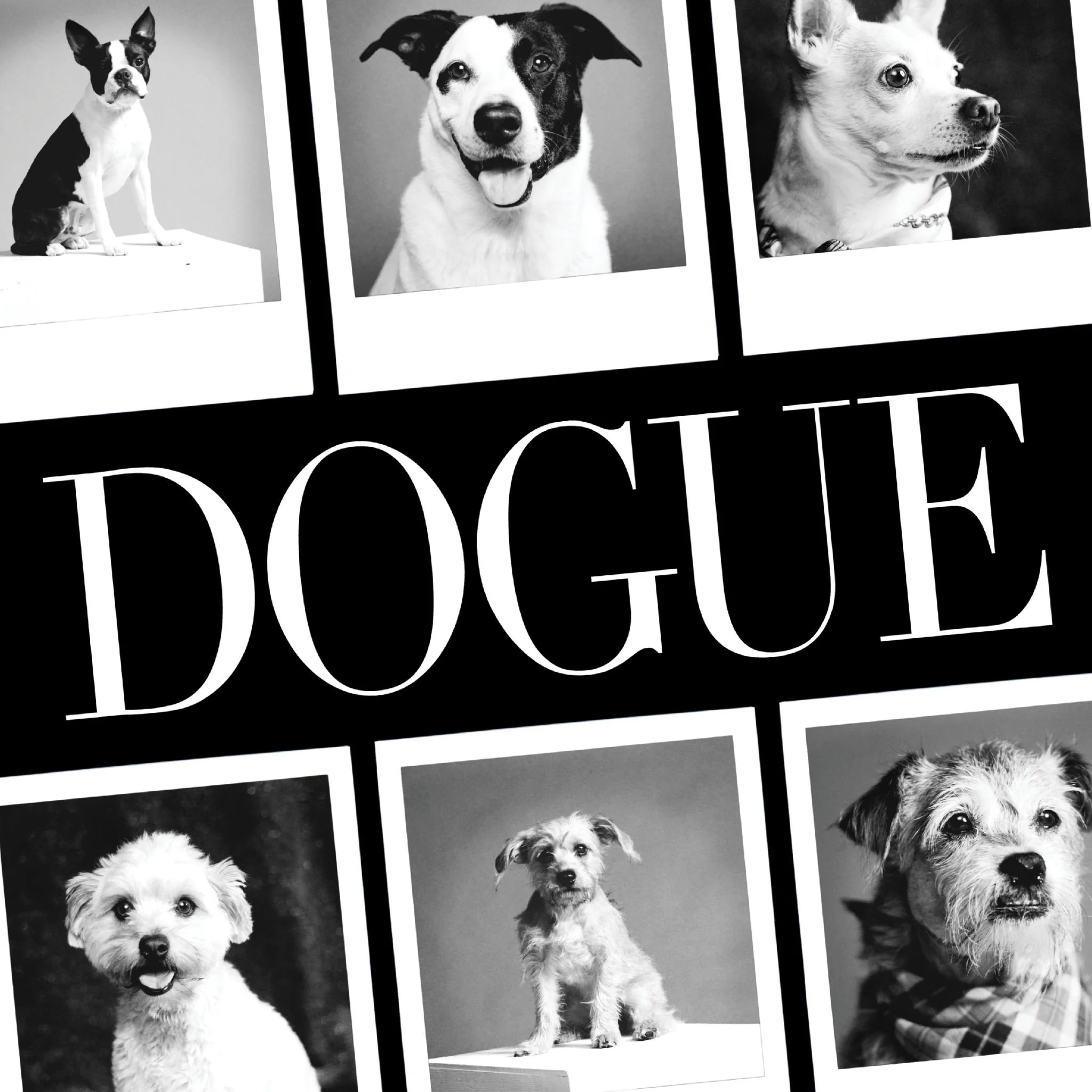 The Dogs of Deutsch LA_Page_14_Image_0002.jpg