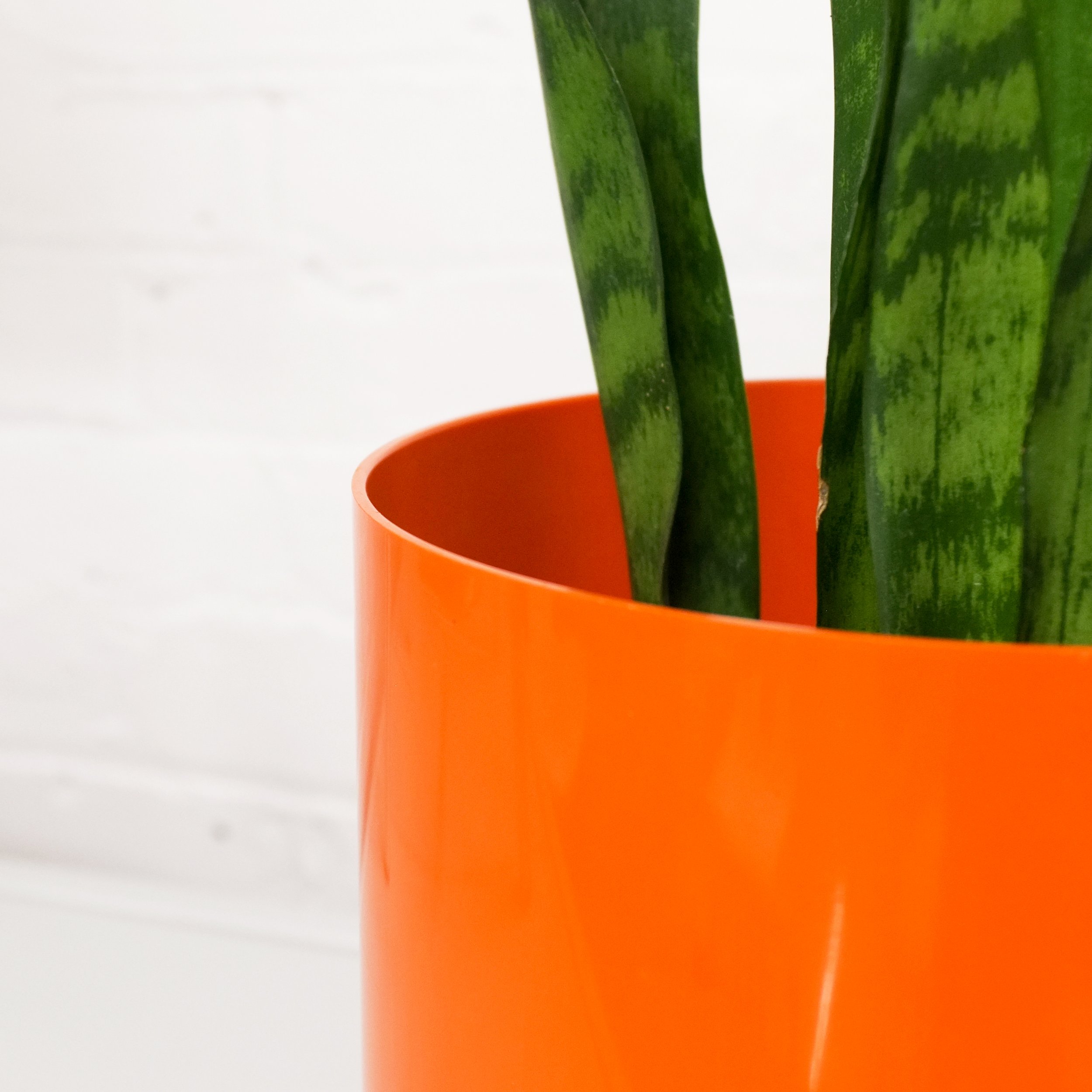 ornageplanter0003.jpg