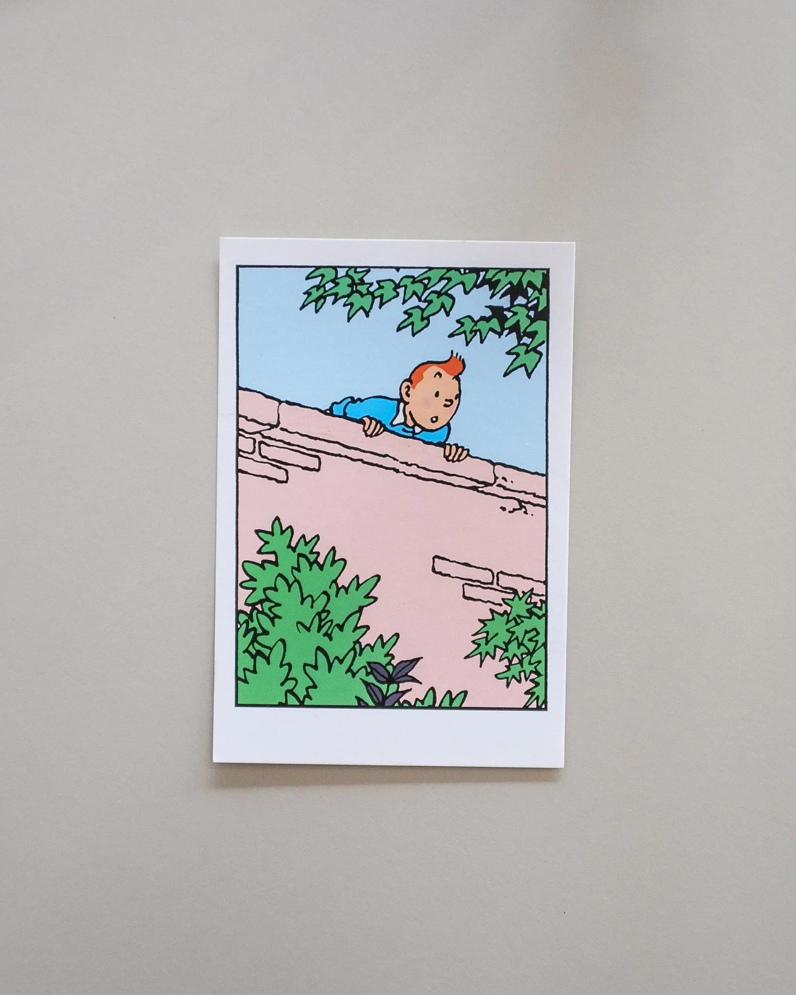 Tintin Postcard [ 009 ]