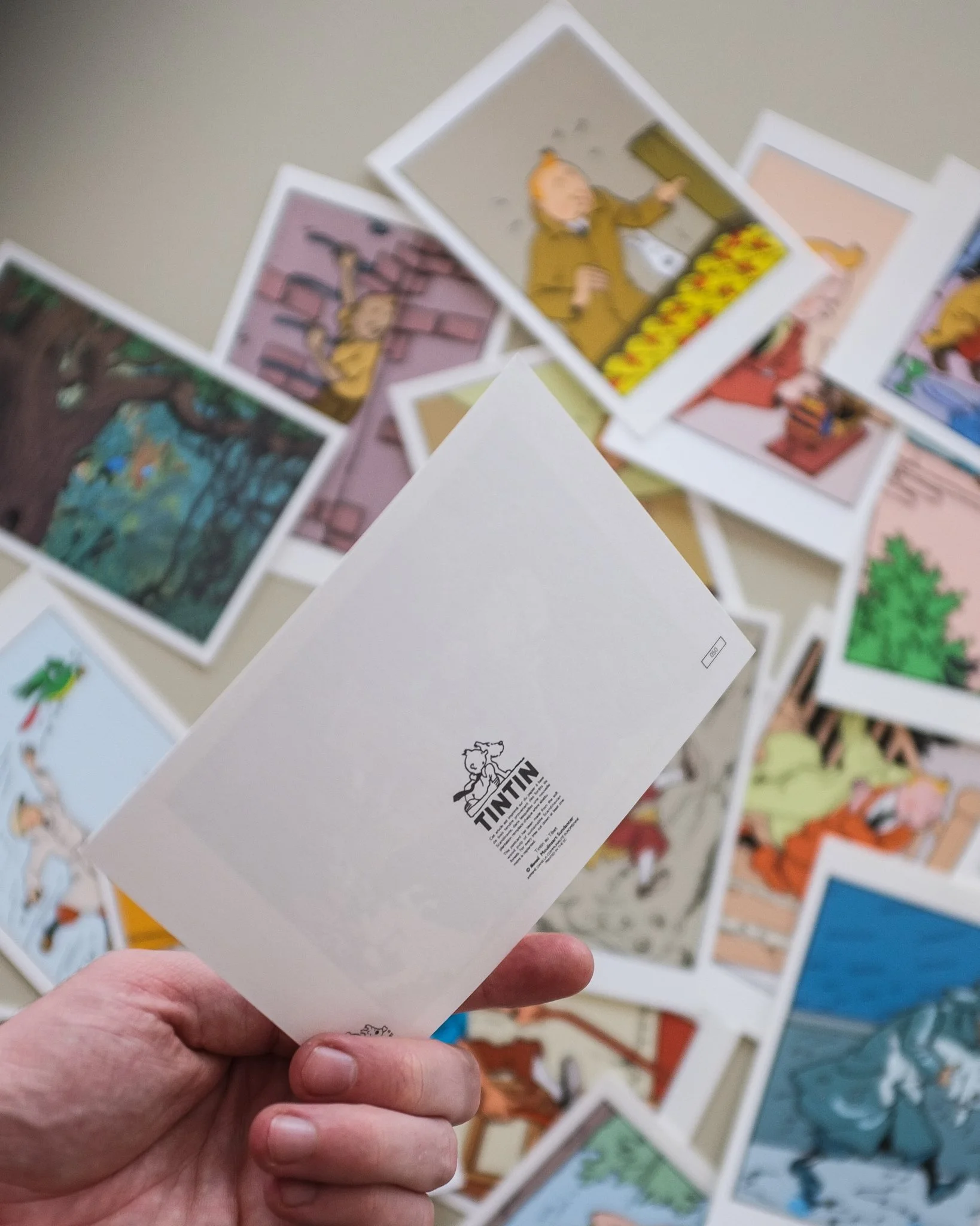 tintincard-20.jpg (Copy) (Copy) (Copy) (Copy) (Copy) (Copy) (Copy) (Copy) (Copy) (Copy) (Copy) (Copy) (Copy) (Copy) (Copy) (Copy) (Copy) (Copy)