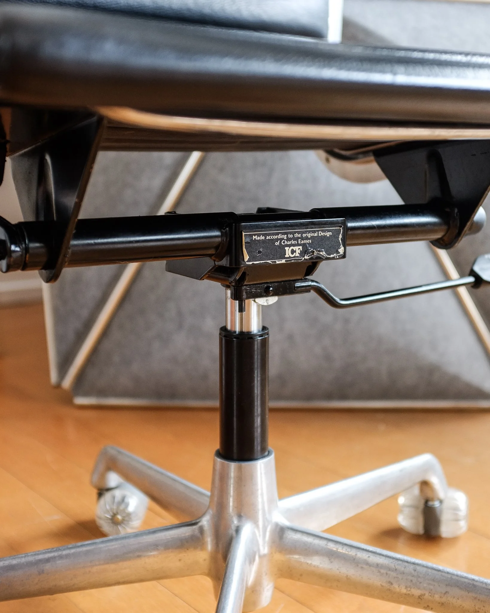 eamesICF-3.jpg