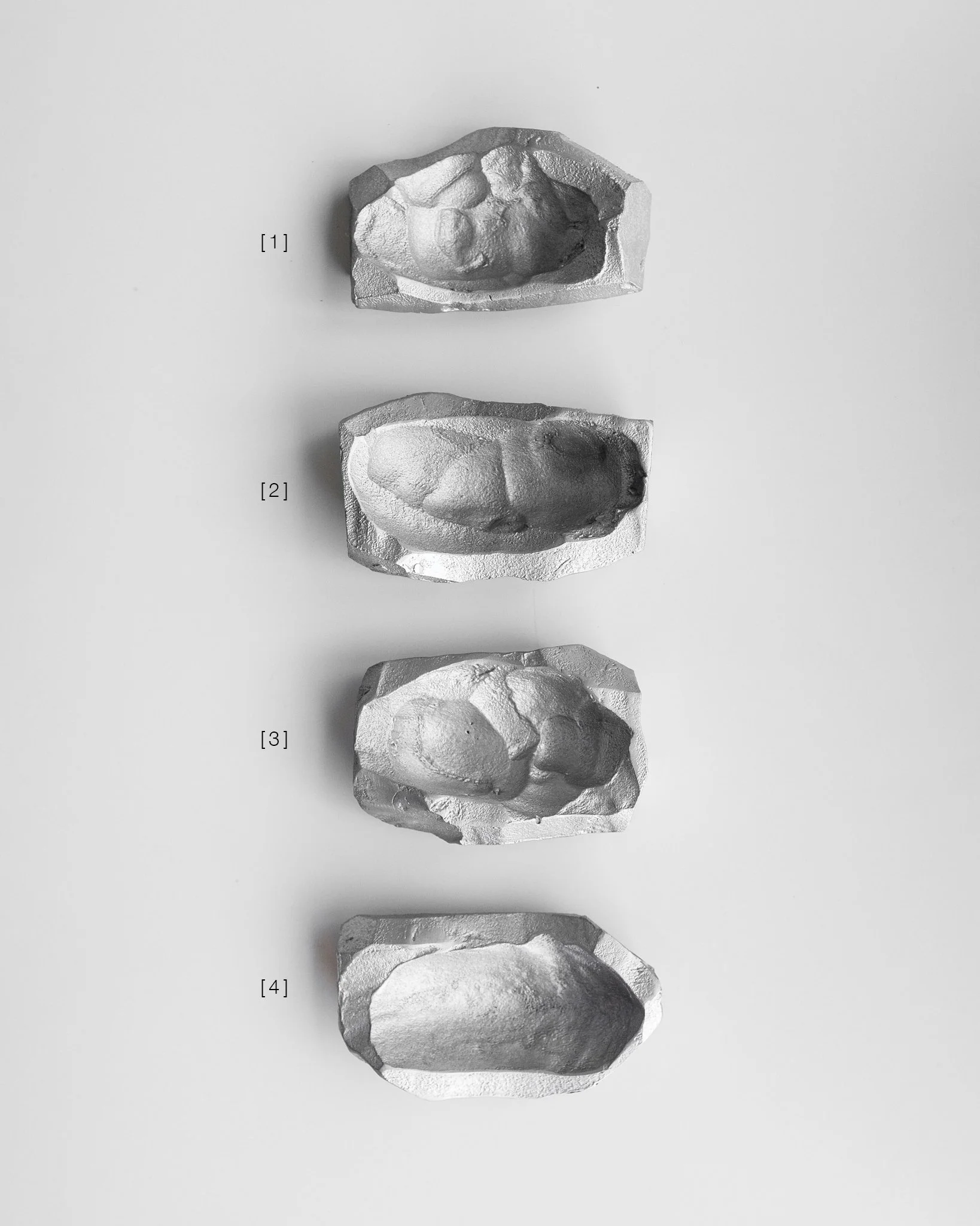 matanaludish-1numbered.jpg