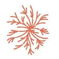 Deep Dive Climate Cafe Facilitator Program