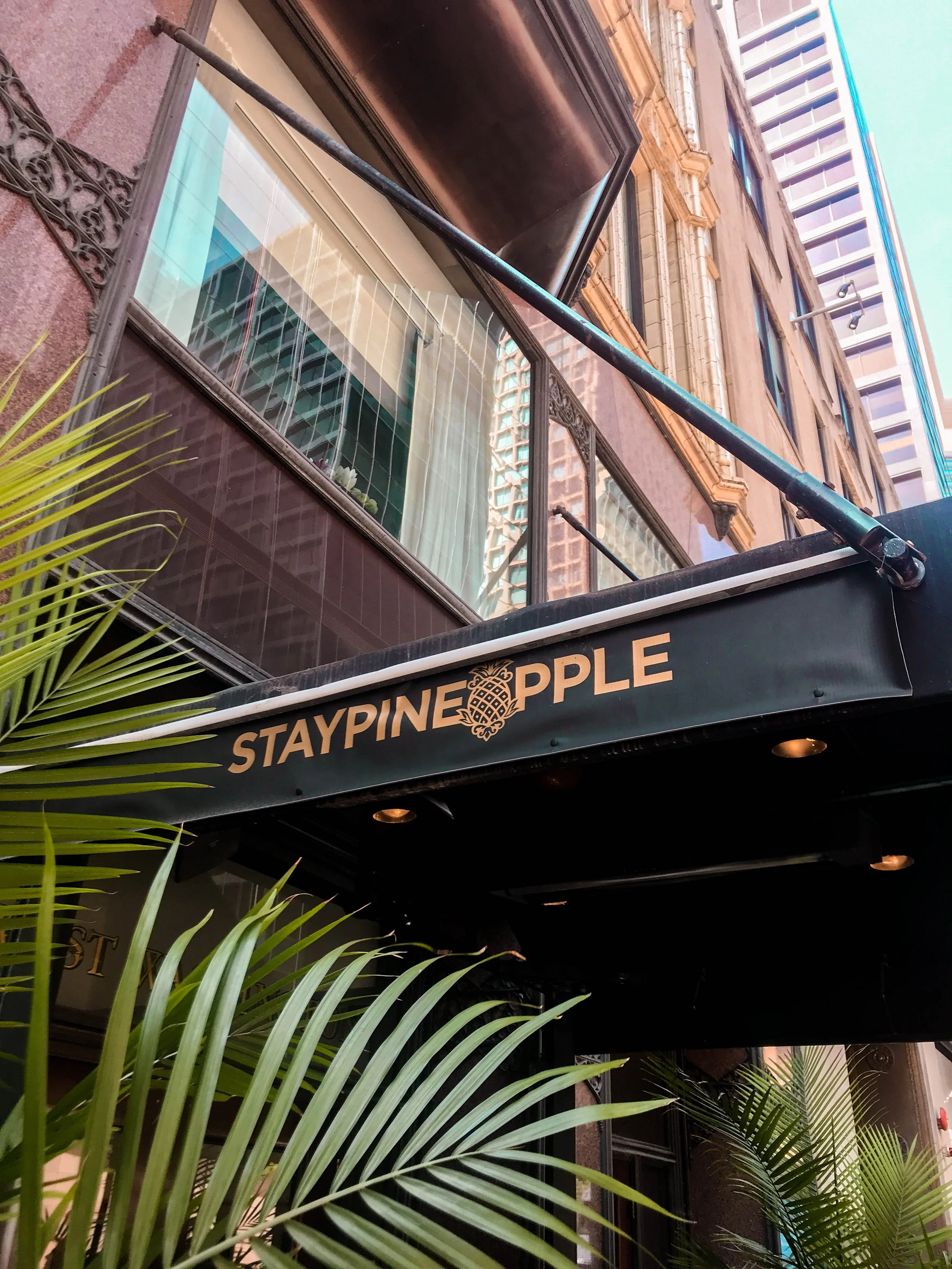 Staypineapple