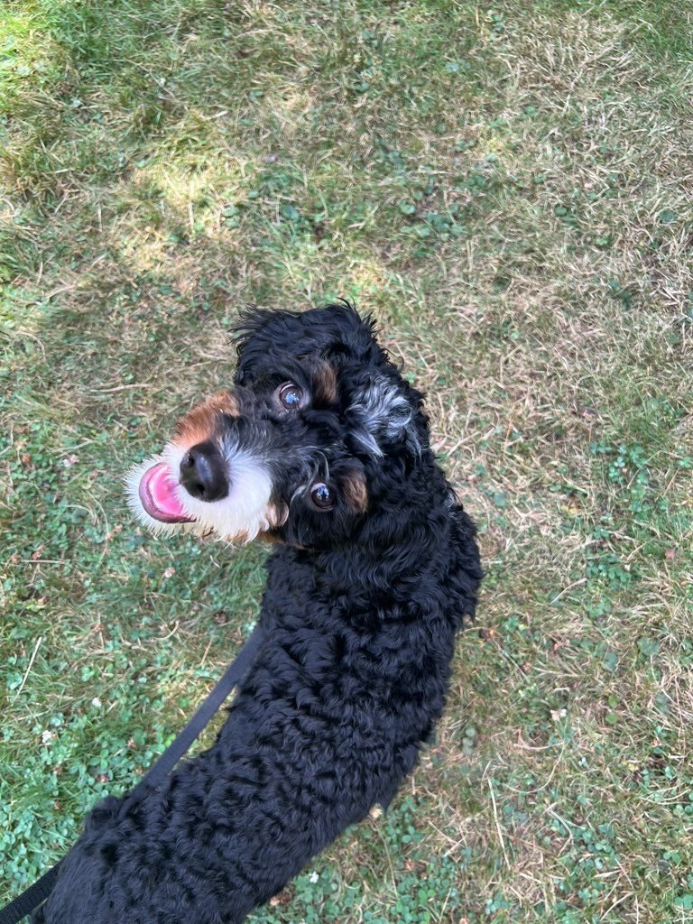 SQ2f-conv-attach-121799770.jpeg