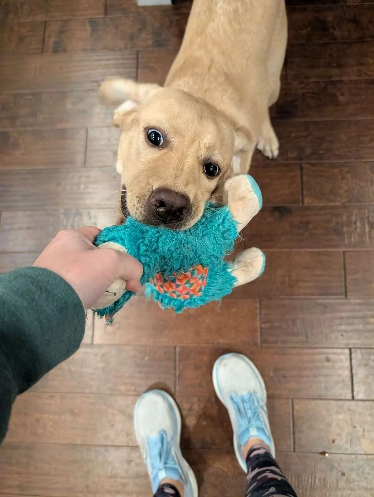1000101771.jpg