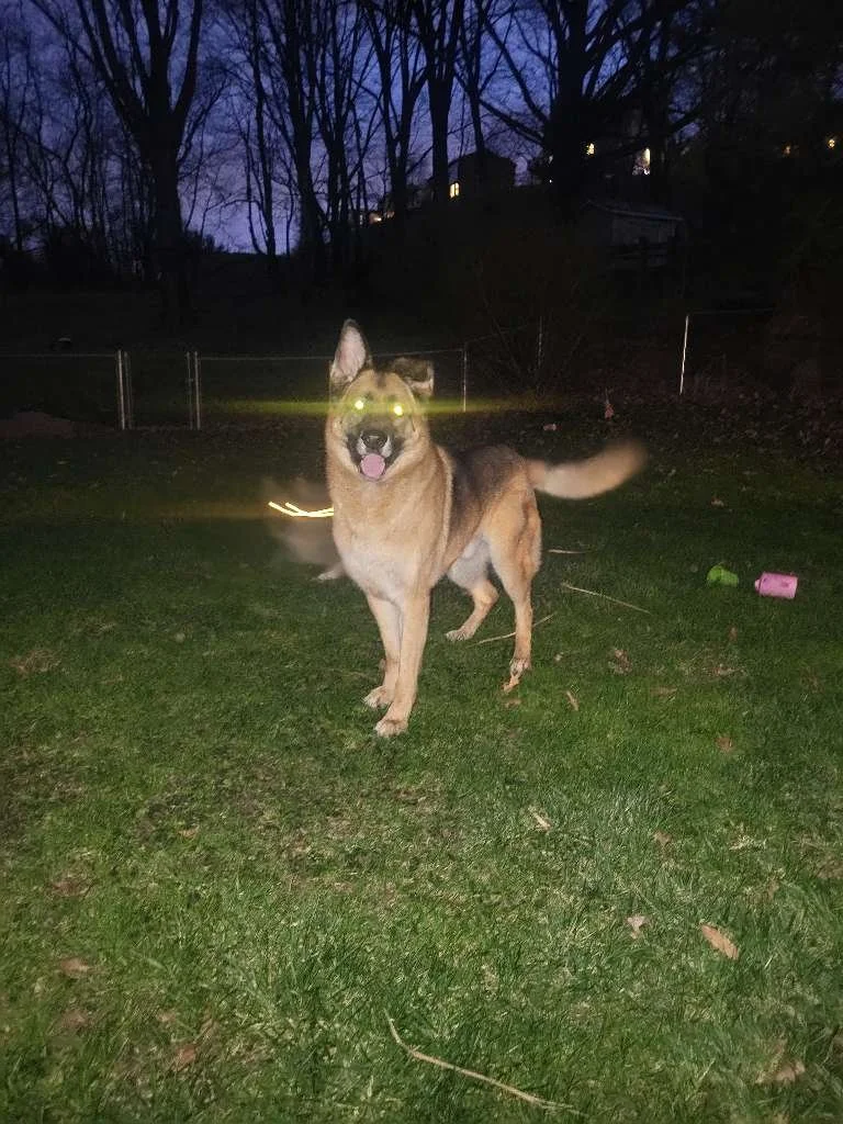 1000128280.jpg