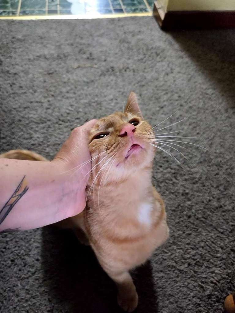 1000136523.jpg