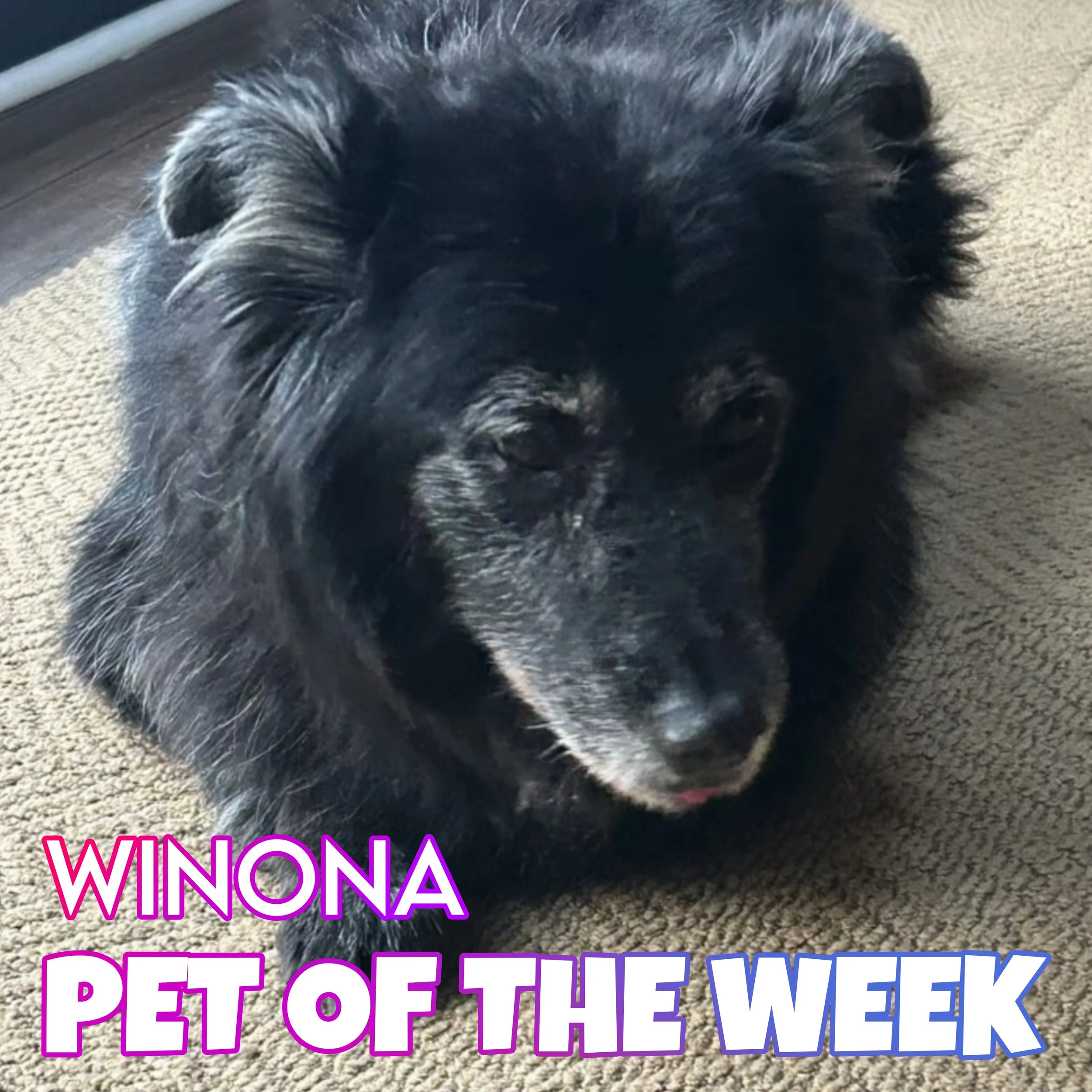 🐾 Winona 🐾