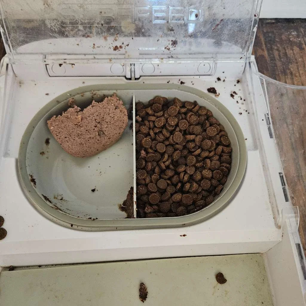 1000150602.jpg