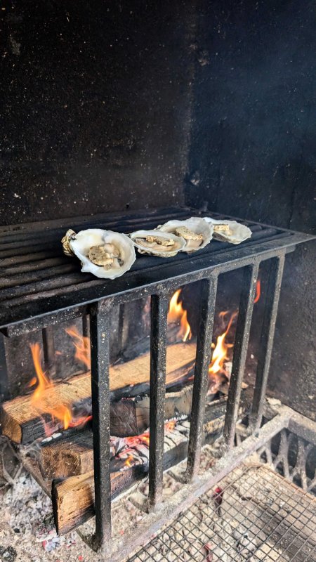 FEAST OF THE SEVEN FISHES | Final Tasting Menu 
