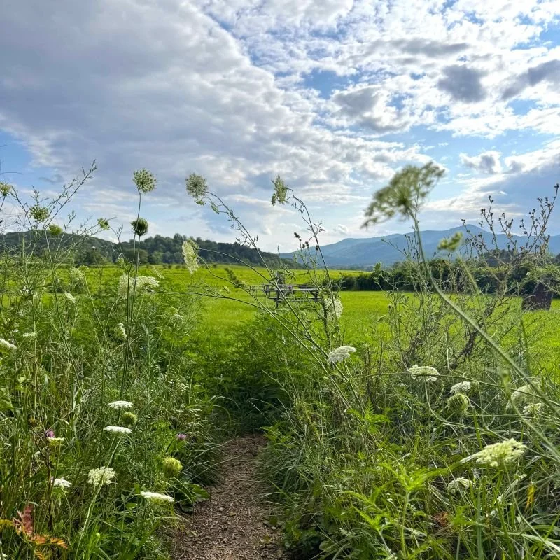 Closed On Break | August 28-30