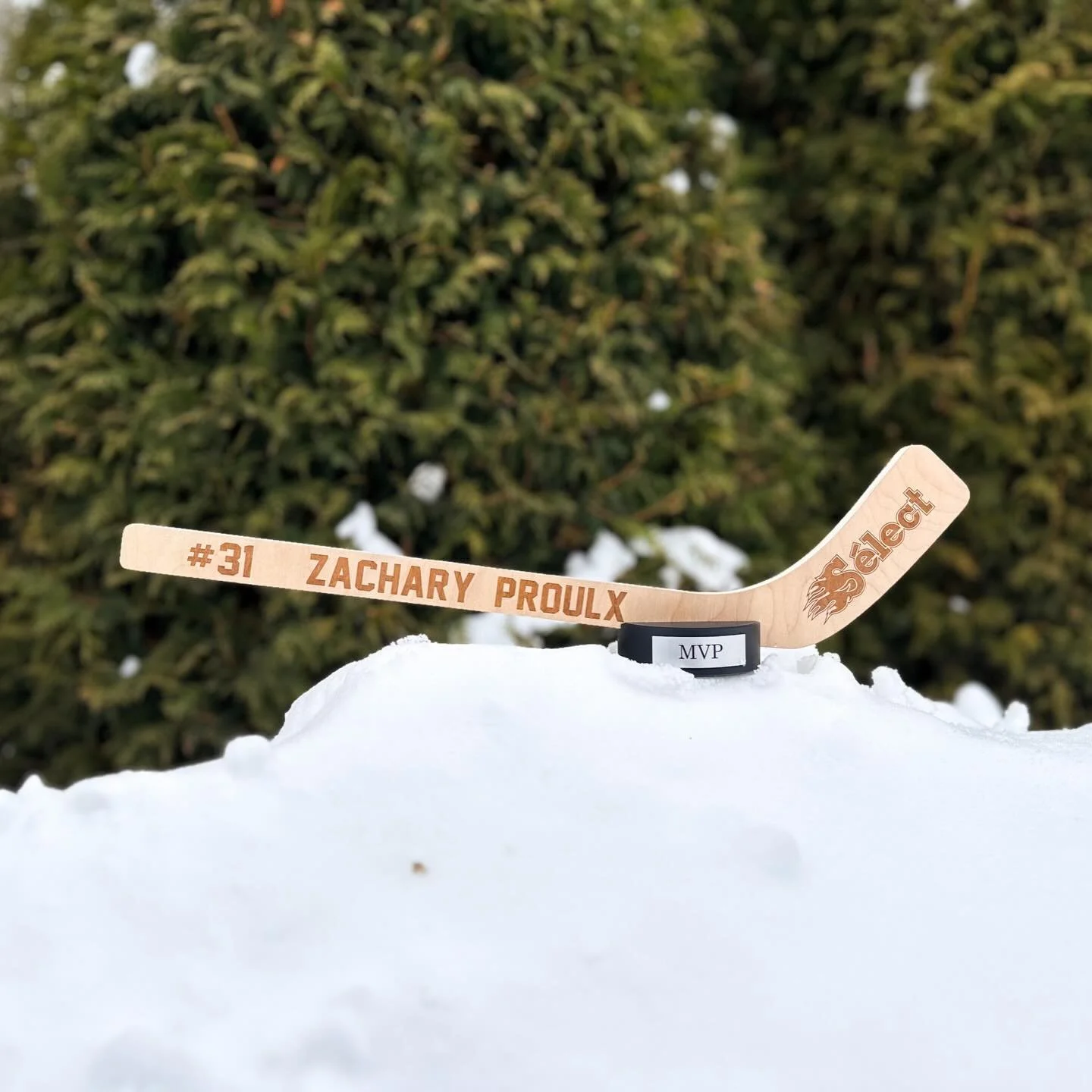 New product drop! 🔥🏒

We just added these mini hockey sticks to our Etsy shop!

Made with 2-sided maple plywood and with the option to purchase it with a 3D printed puck base.

#hockeystick #hockeycanada #shinny #hockeyteam #minihockey #hockeylife 