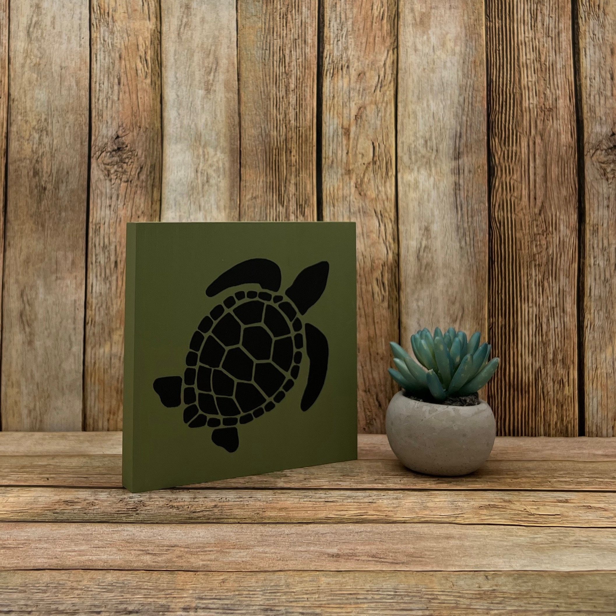 turtle.jpg
