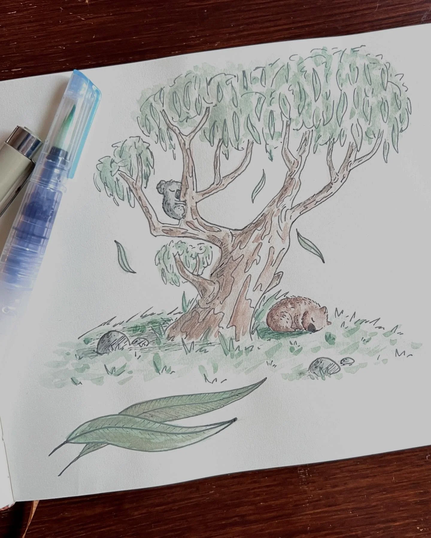 Been a while since I&rsquo;ve picked up a pencil that doesn&rsquo;t  connect to my iPad but was good to have a little go at it again. And only tapped my paper twice trying to &lsquo;undo&rsquo; a stroke 😅.

.

#wombat #australiana #koala #illustrati