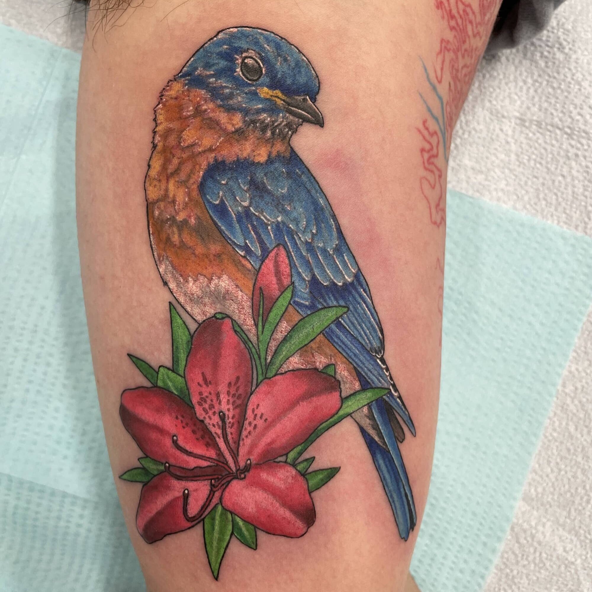 Bluebird Tattoo Vector Images (62)