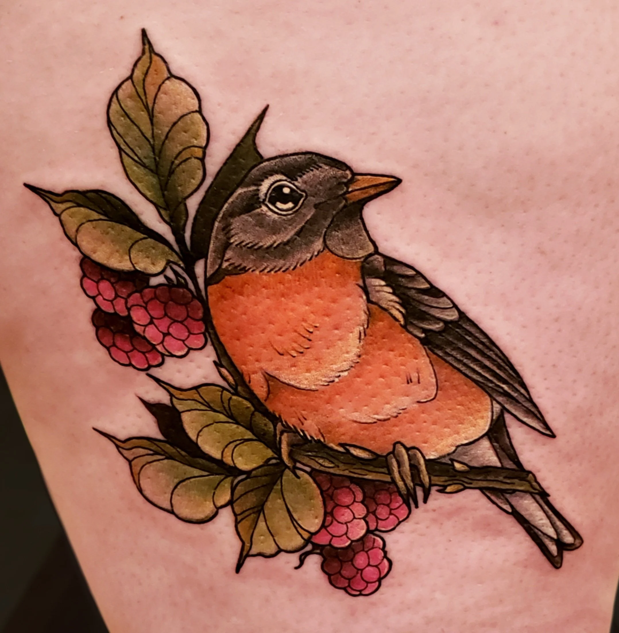 Bird.jpeg