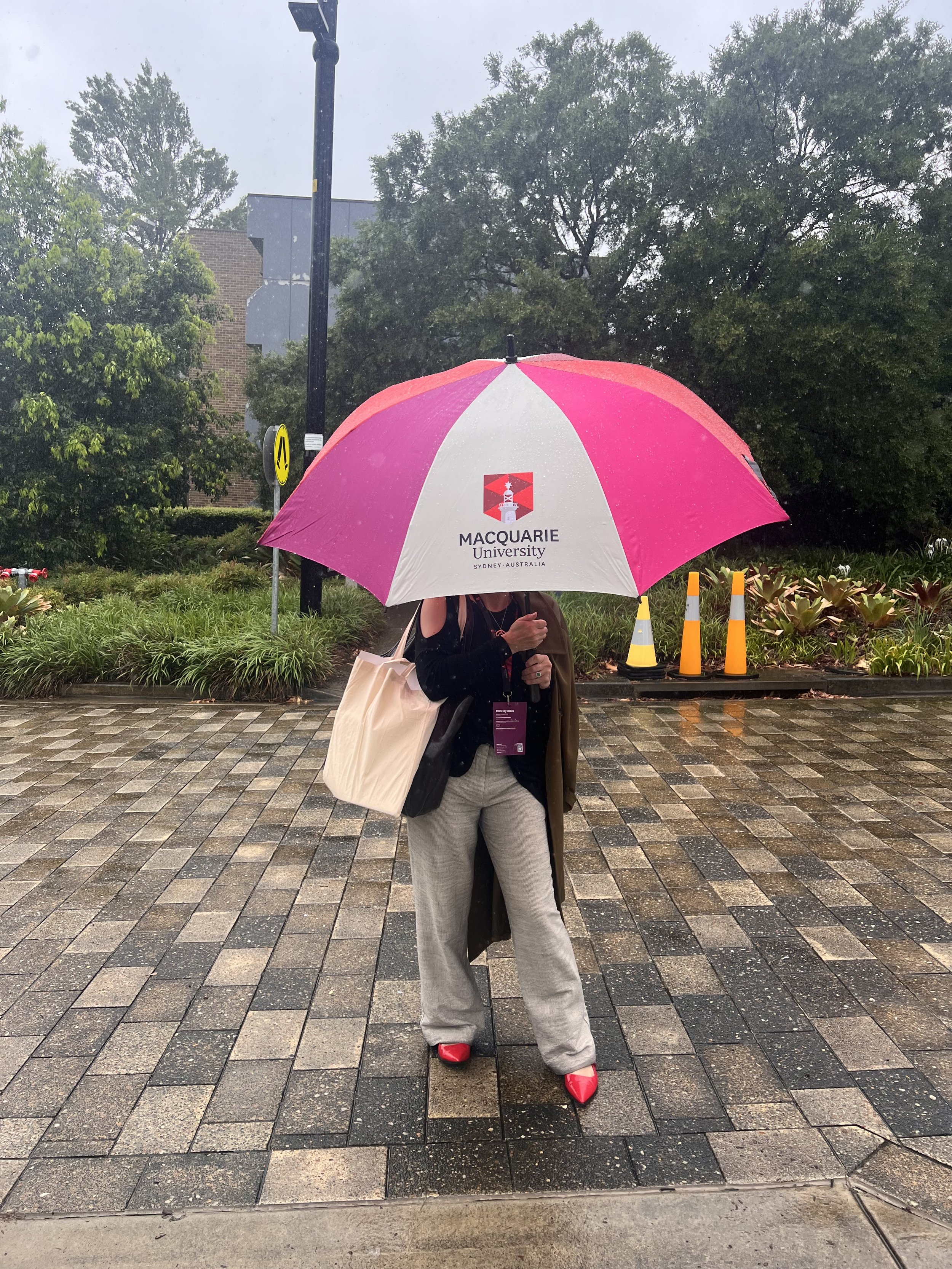 Macquarie University Careers Advisers Update