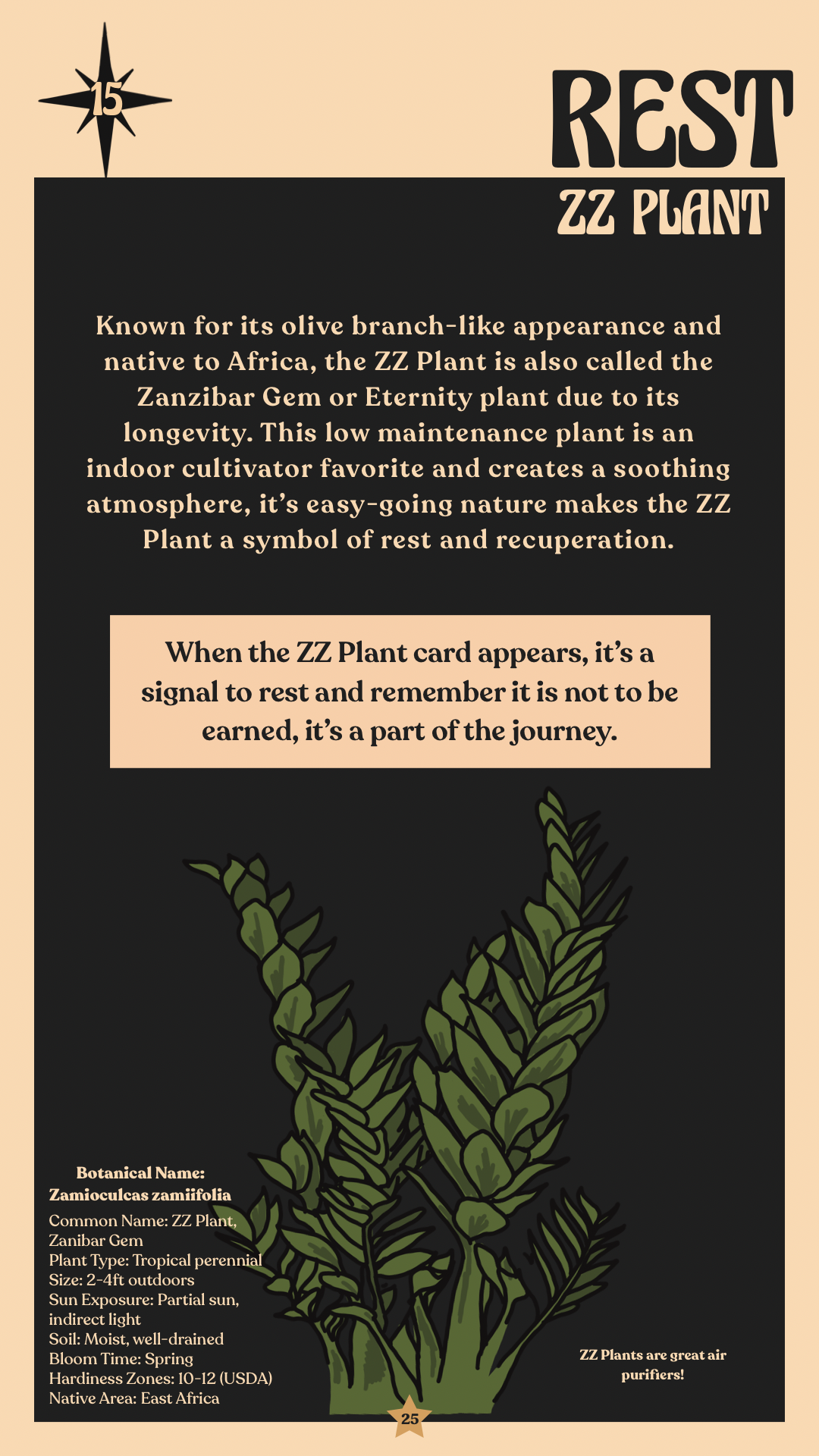25.PNG
