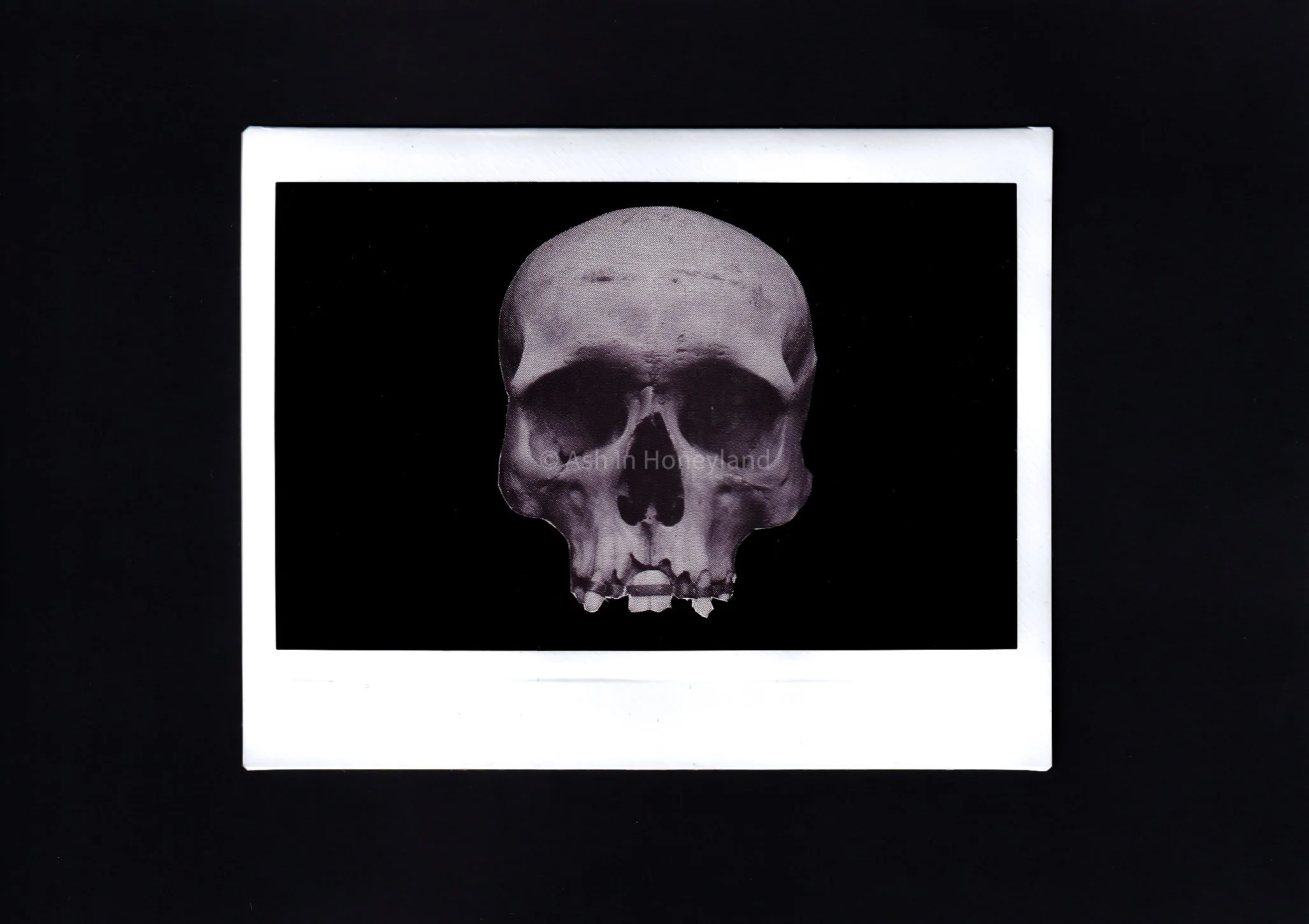 Debuting Five New Collage Art Pieces