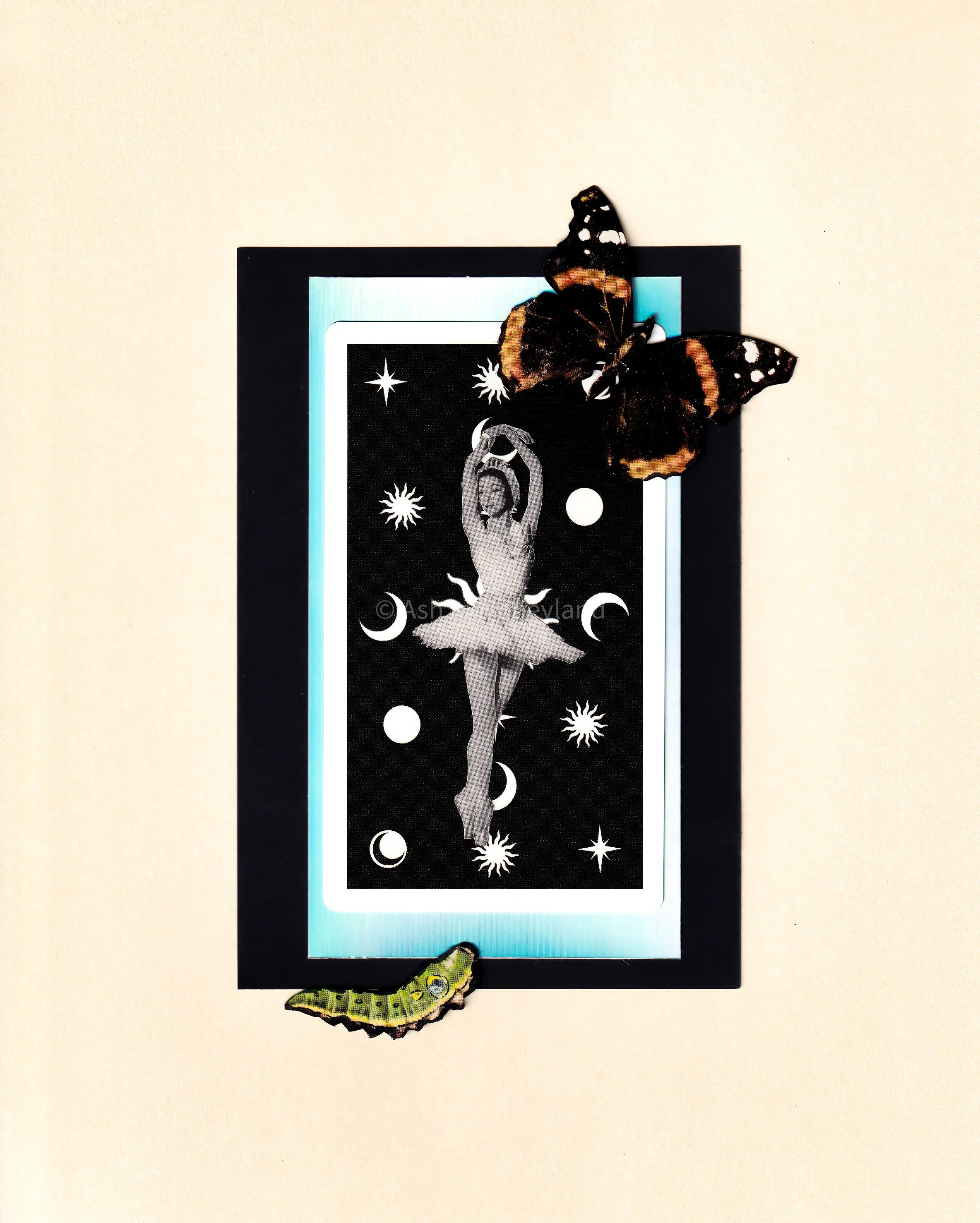   Metamorphosis, 8×10”  