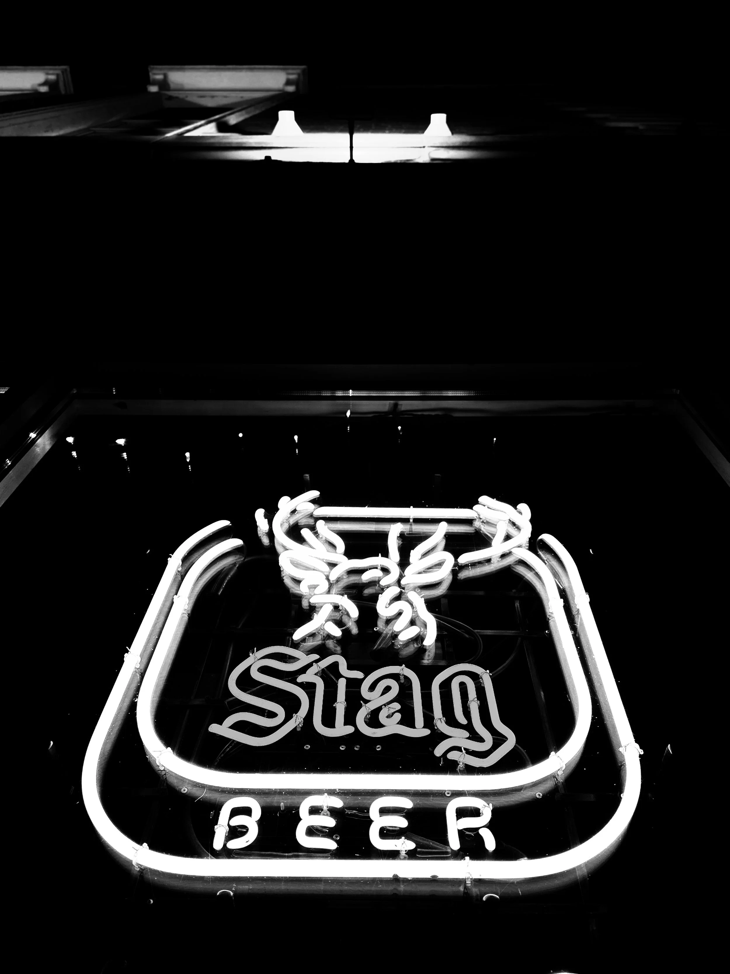 IMG_7008_jpg.jpg