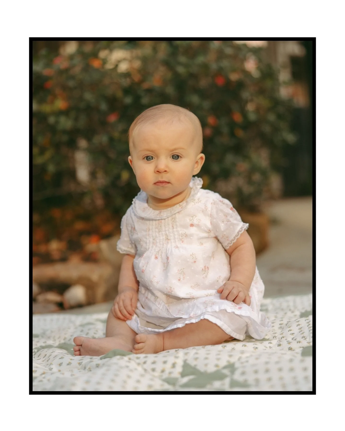 My niece turned 6 months! I can&rsquo;t imagine life without this little angel. 🥹💕
&bull;
&bull;
&bull; #houstonfamilyphotographer #familyphotography #familyportraits #family #houstontx