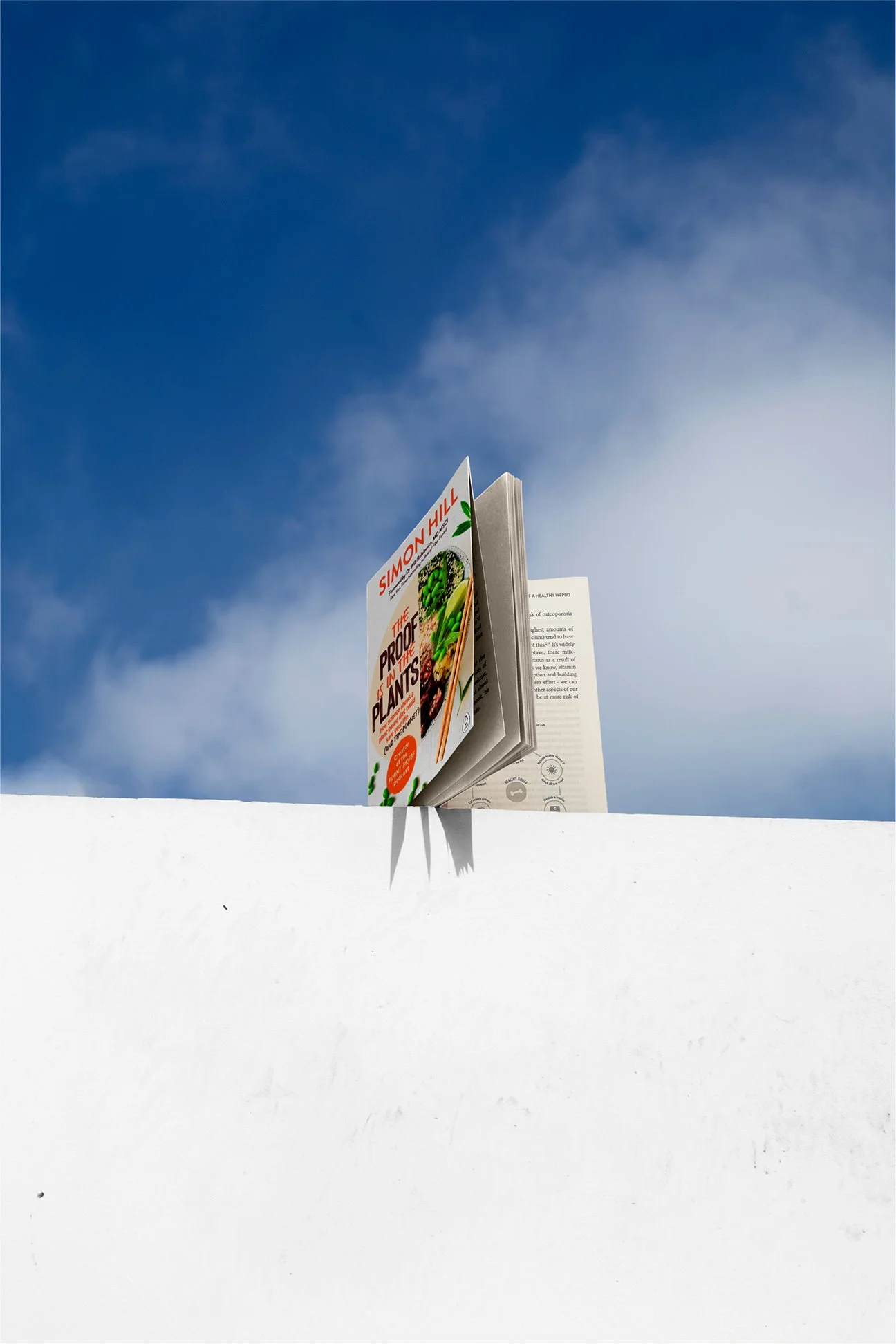 Low-angle shot of Simon Hill’s book, 'The Proof is in the Plants,' resting on a wall against a bright blue sky. The book is slightly open, revealing interior pages with detailed graphics.