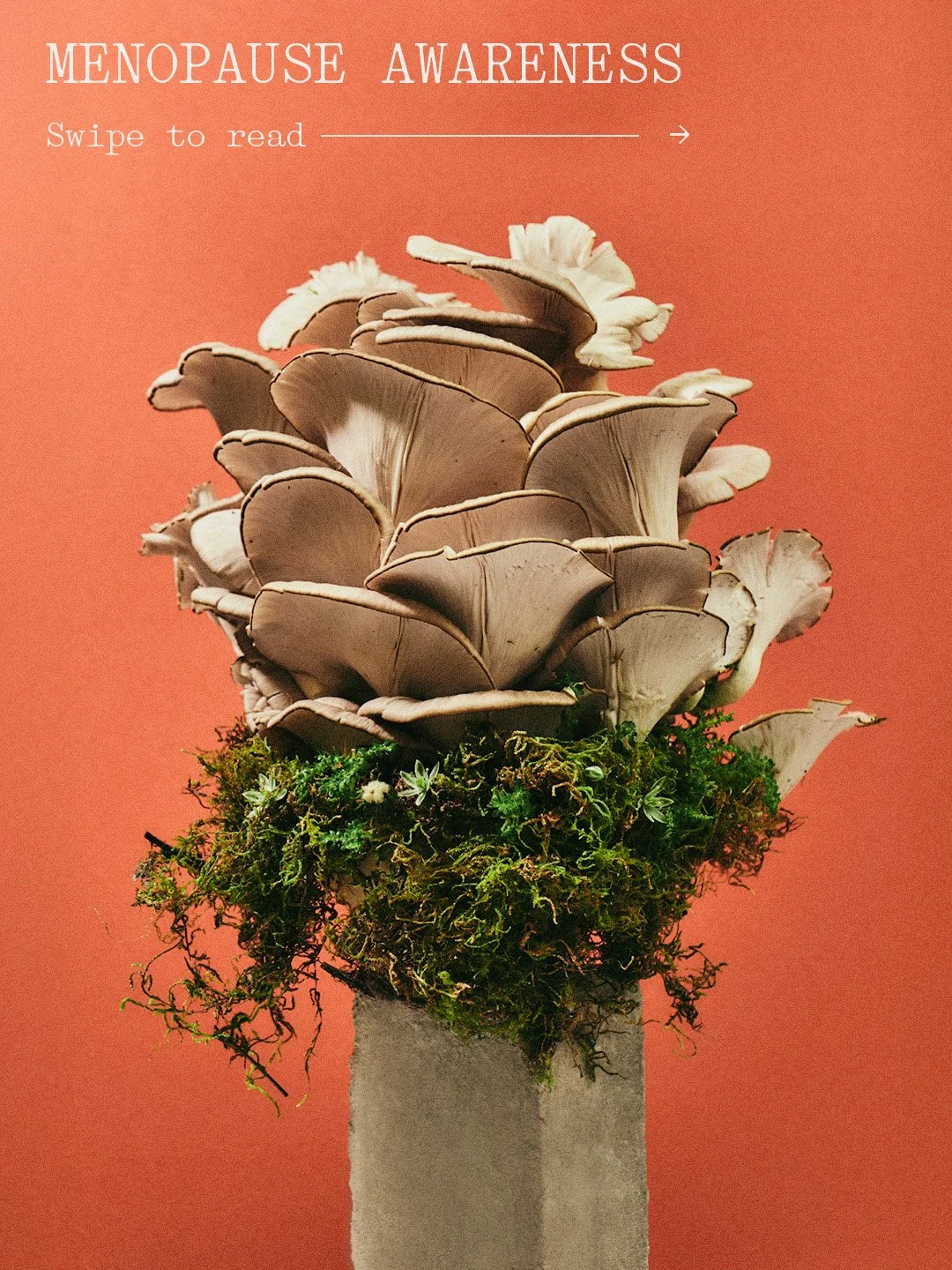 Derm Haus branded social media content mockup, Instagram content design for Brisbane skin health clinic - 8