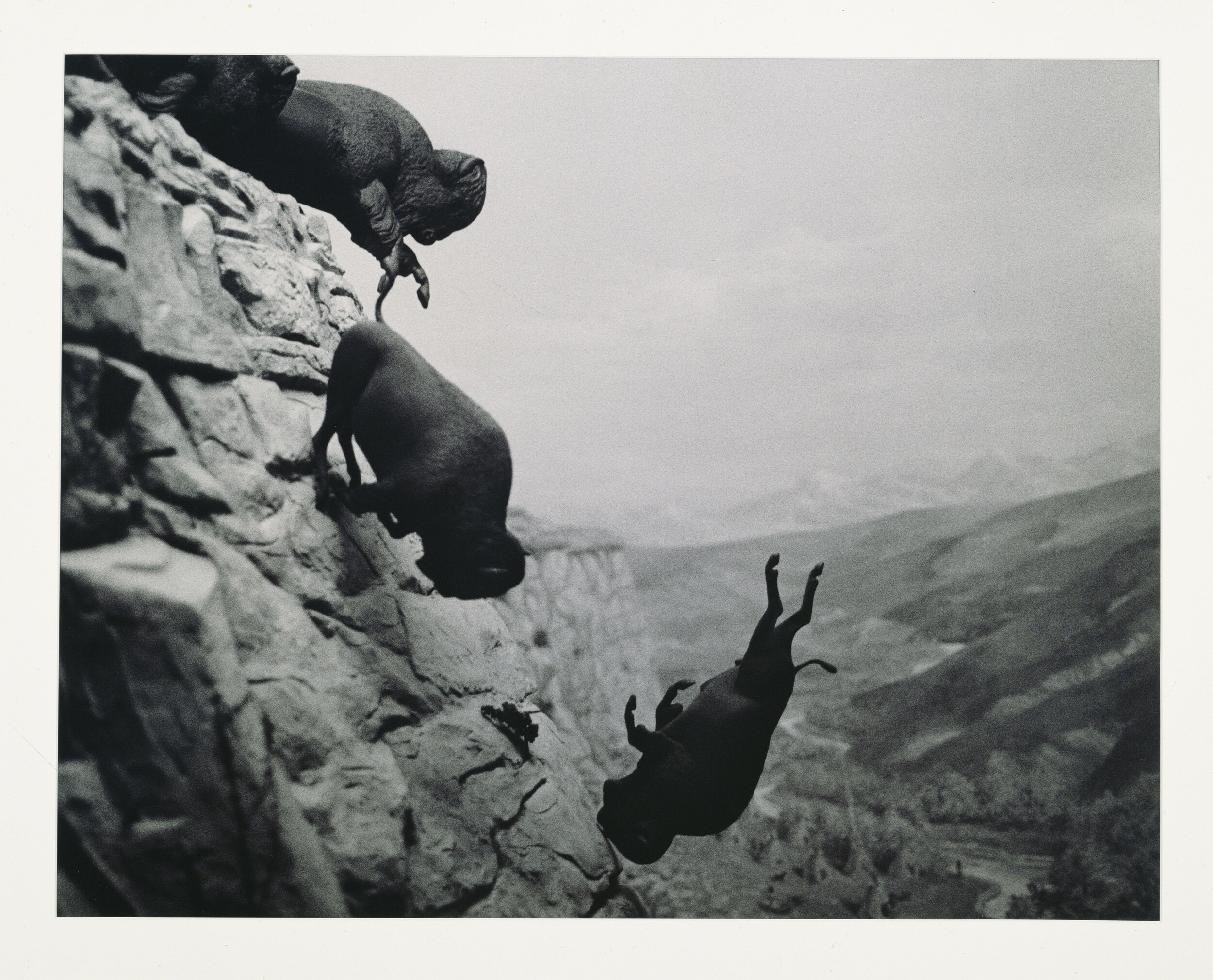 Wojnarowicz-1988-89-Untitled-(Falling-Buffalo).jpeg