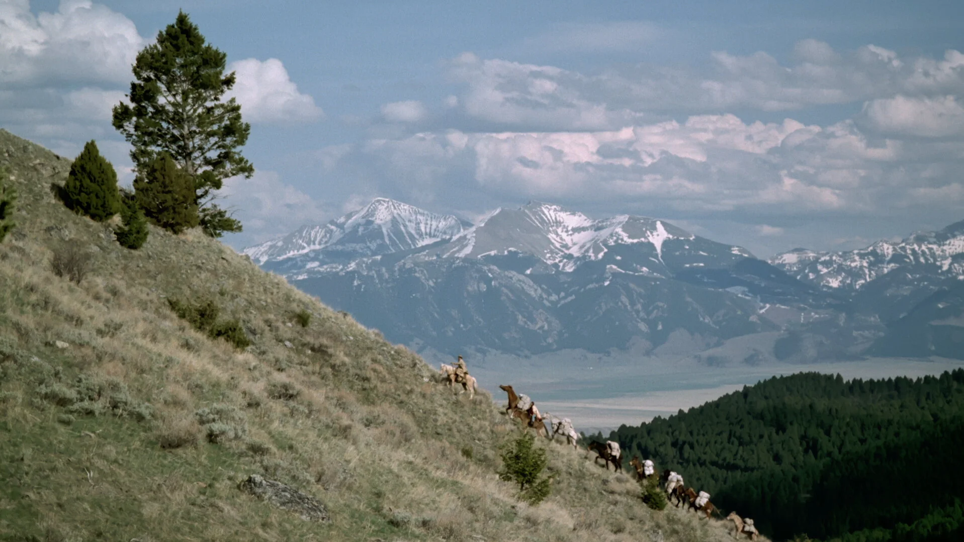 thousand horses.jpeg