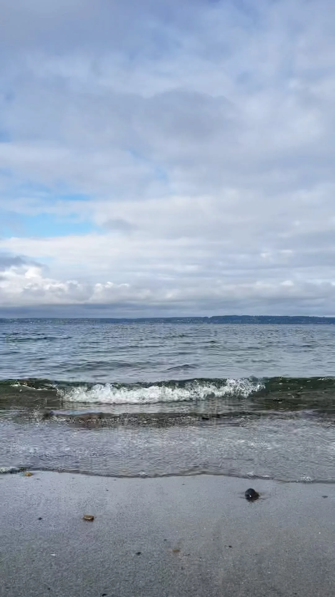 Ashley Abrams Real Estate