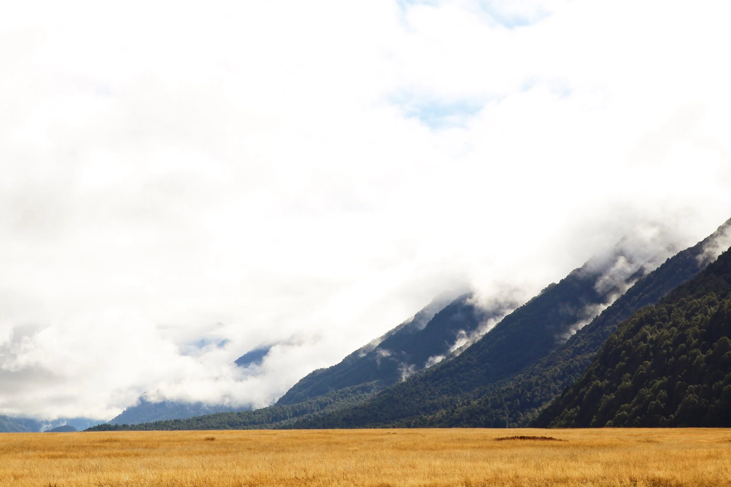 07E7AAD7-36EC-4EC1-9ED2-B8A54114AE2C 2.JPG