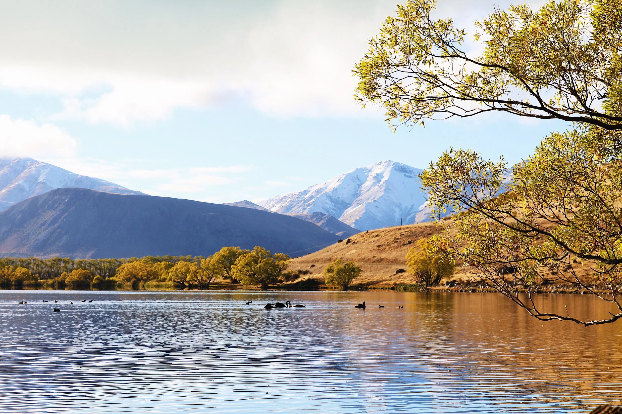 02CCB04F-06C1-4B7D-BF08-2BE3C5997182 2.JPG