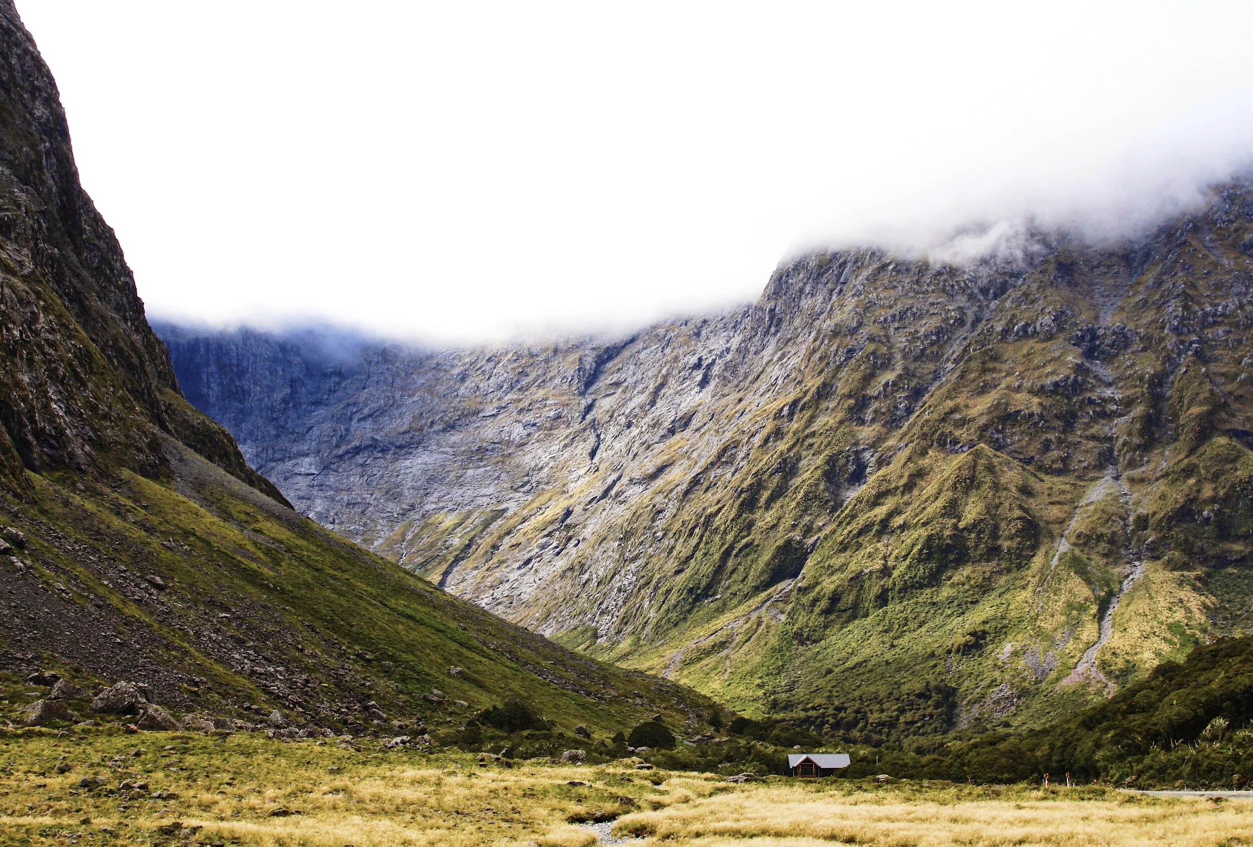 A074C97E-F10B-4C94-ABBF-28A2B413031B 2.jpg