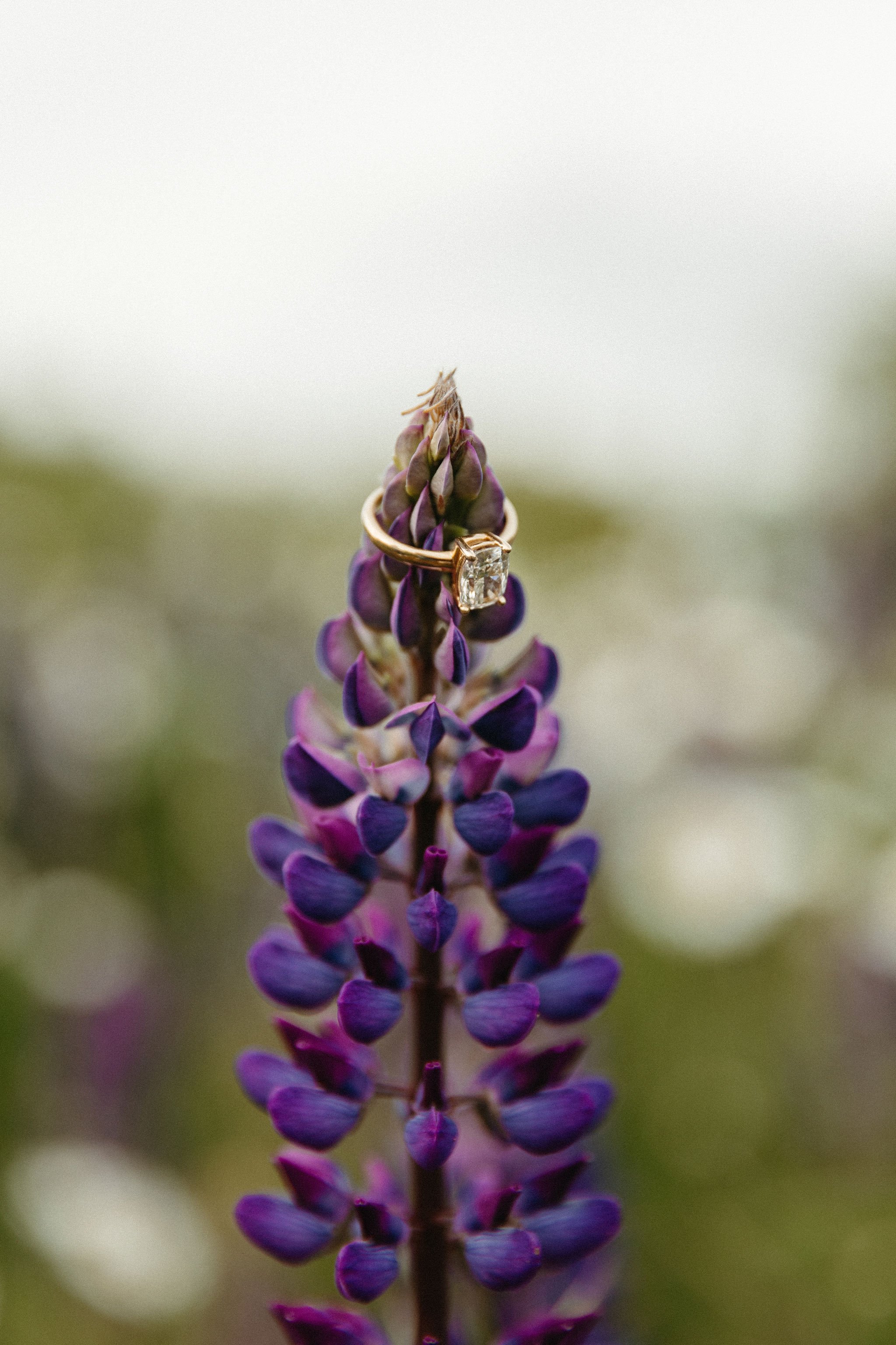 skyhopephoto-2752.jpg