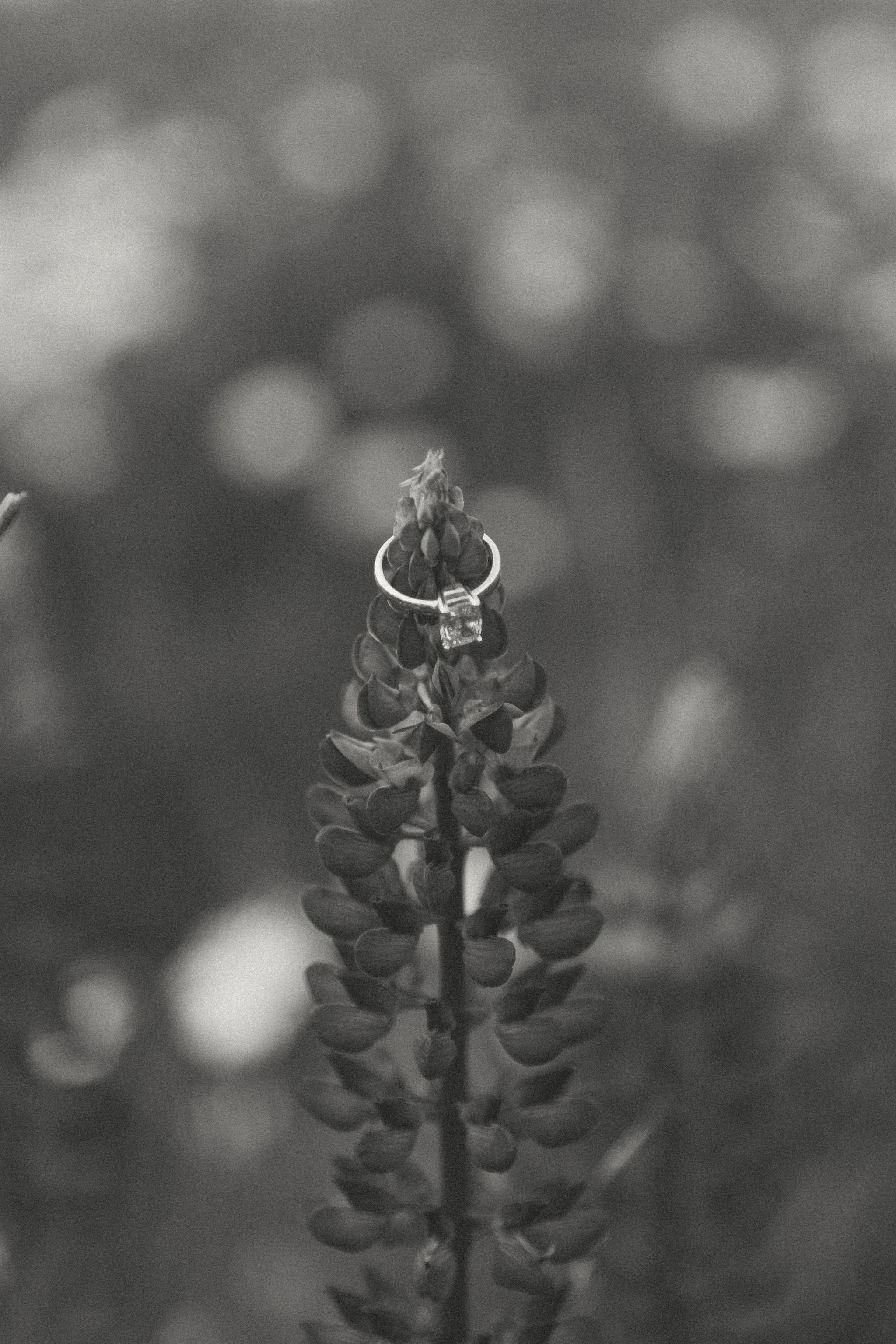 skyhopephoto-2751.jpg