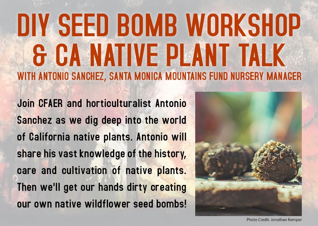 Join horticulturalist Antonio Sanchez for a virtual plant talk as we dig deep into the topic of native plants. We'll make our own wildflower seed bombs and learn about the important role native plants play in our local environment! FREE All Ages