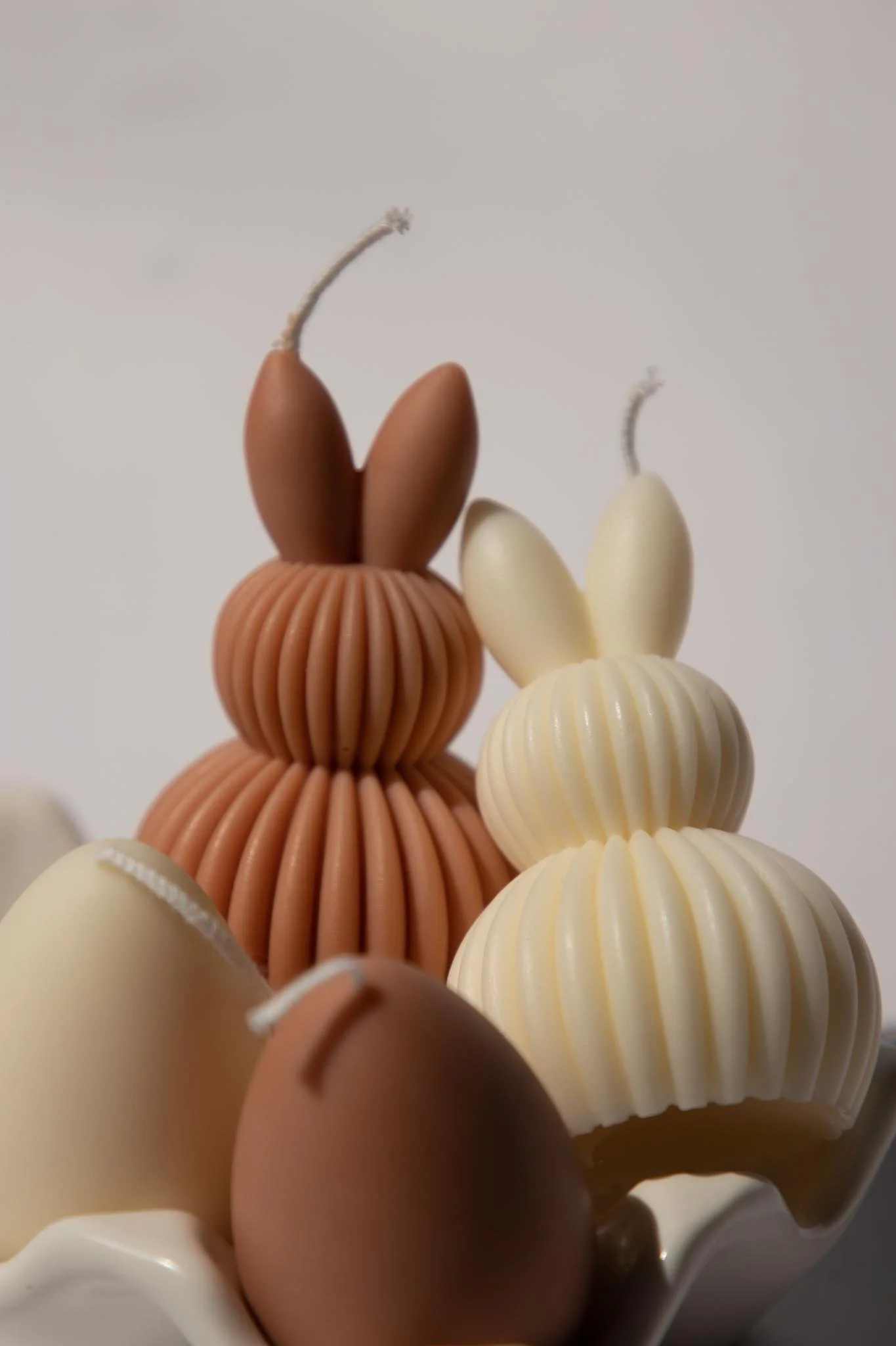 Bloom, Burrow, Bounce and Bask