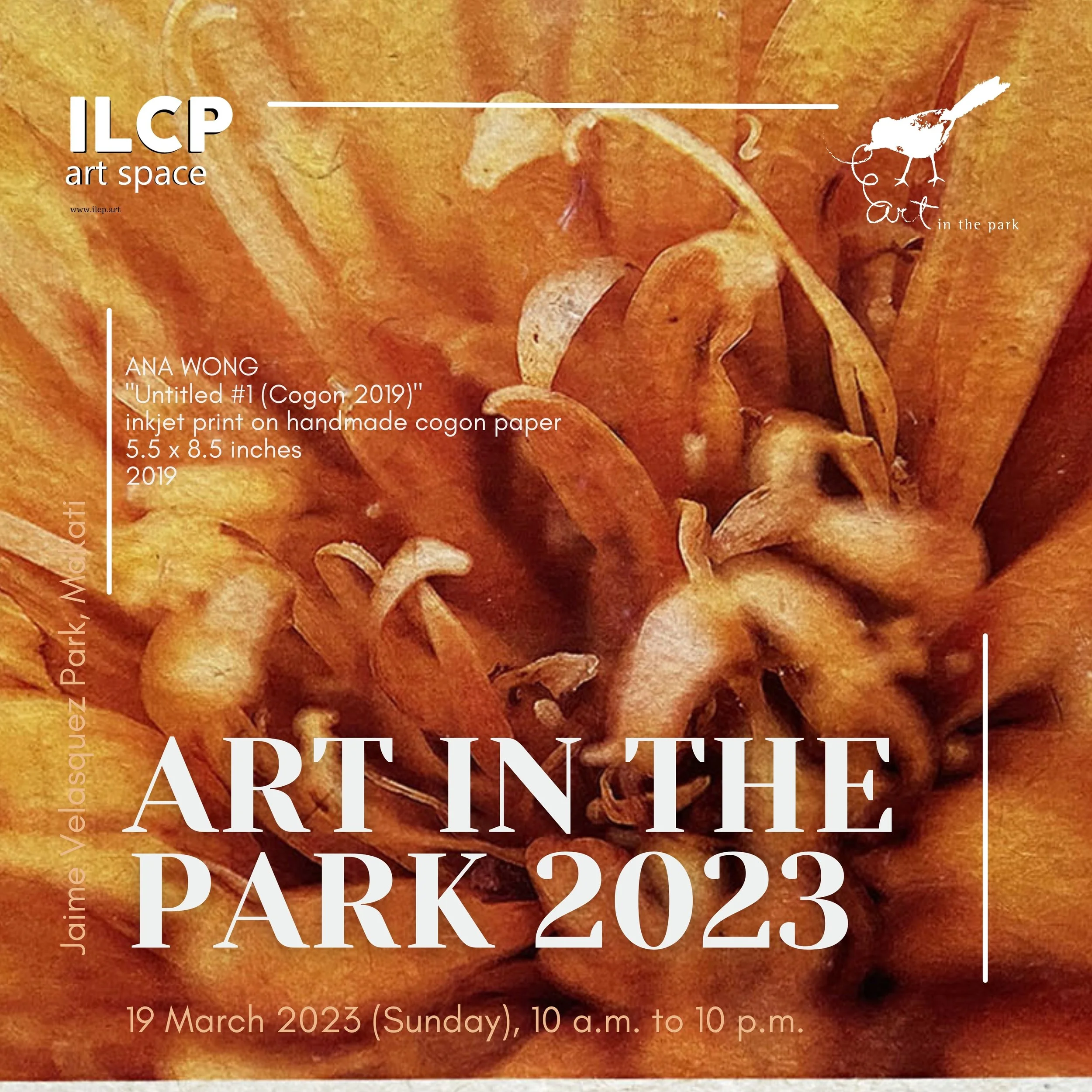AIP2023 Ana.jpg