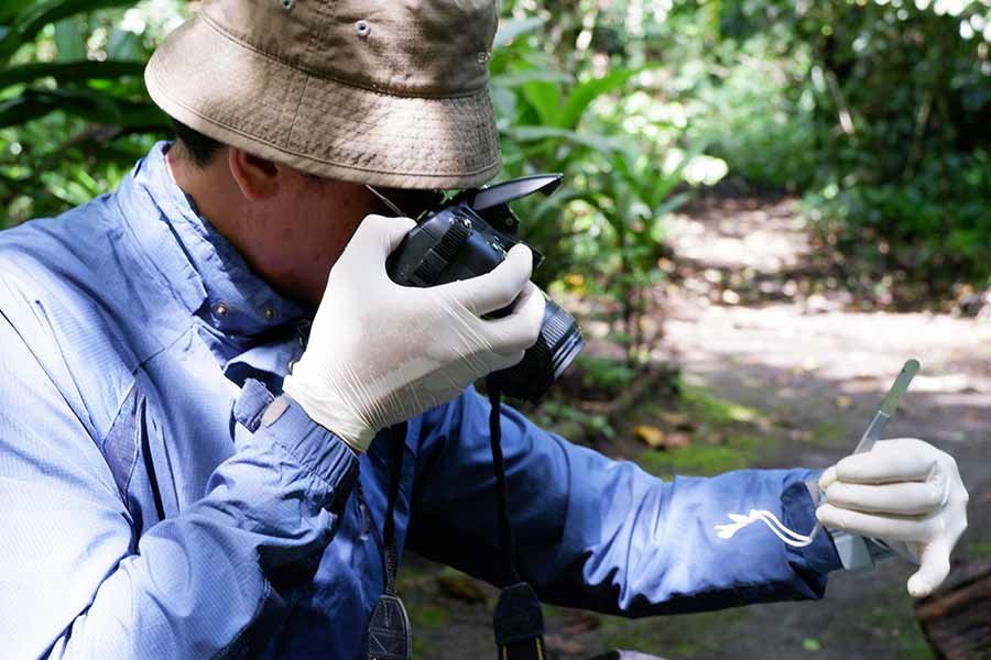  Bunga merupakan kunci identifikasi tumbuhan, termasuk anggrek. Taksonom melakukan pembedahan dan pengukuran bagian bunga berdasarkan sepal (kelopak), petal (mahkota), labellum (bibir/lidah), hingga ke bagian paling kecil yaitu serbuk sari atau polen