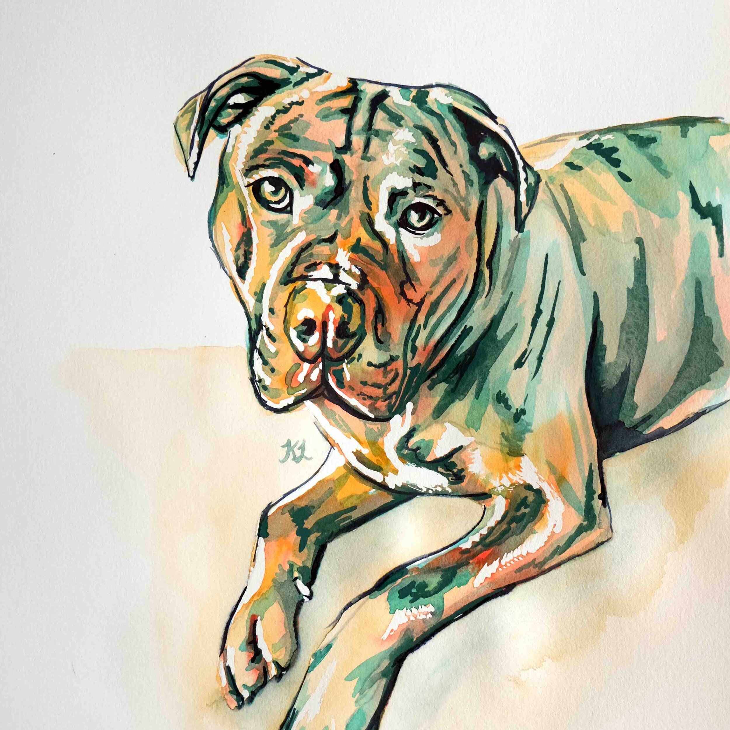 green and orange watercolour pet portrait painting of a big dog