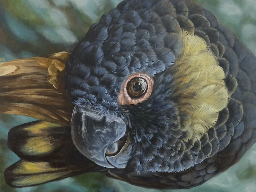 ‘Twist’ of Fate: Shortlisted for the Waterhouse Natural Science Art Prize