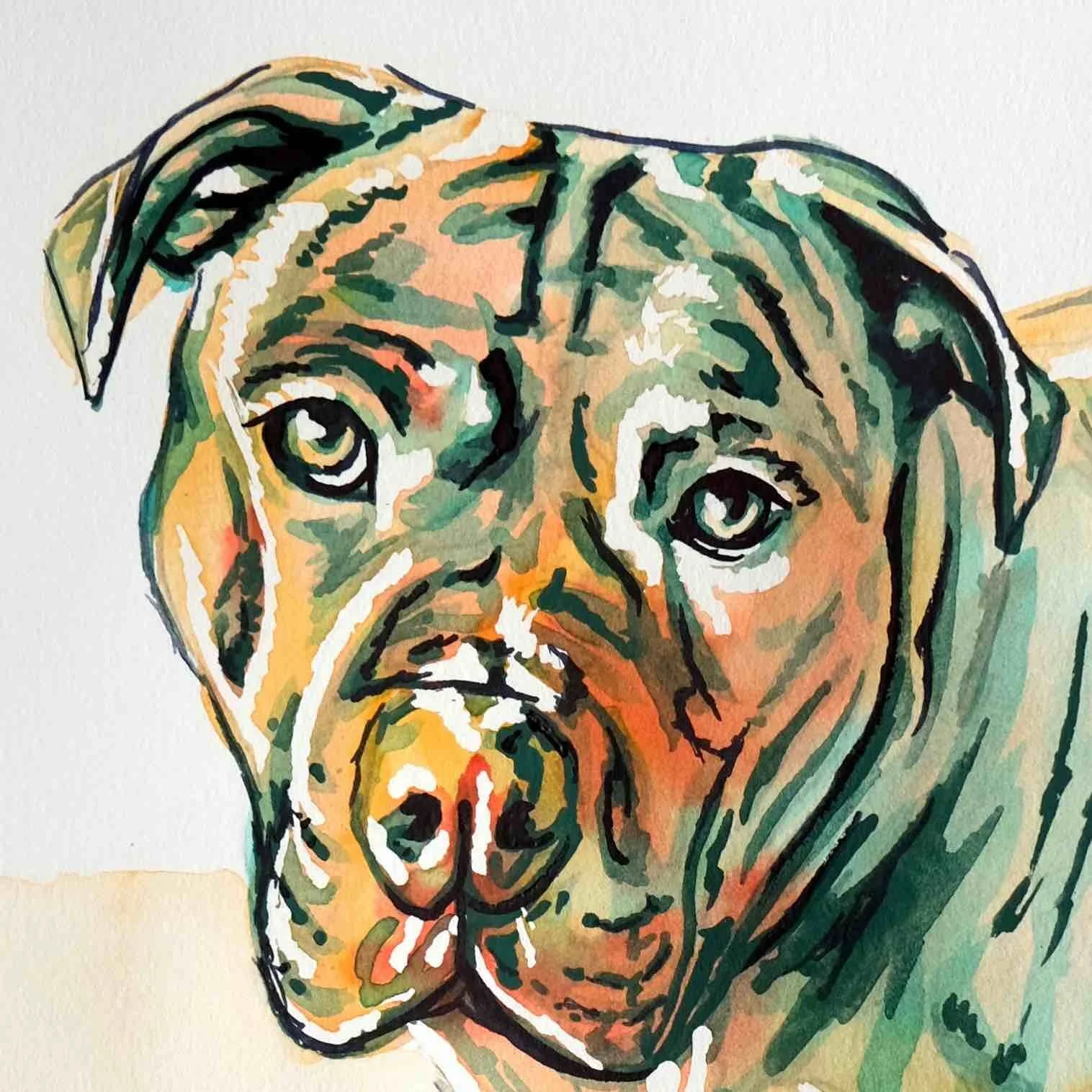 close up green and orange watercolour pet portrait painting of a big dog