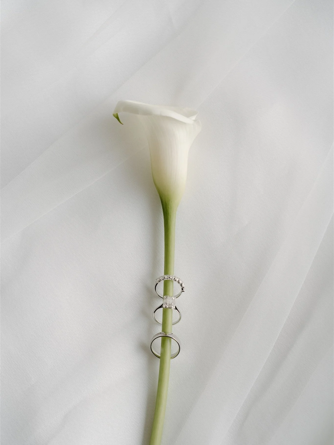 A moment for the details 🤍

G&amp;J // Queenstown NZ

#bridaldetails #modernbride #queenstownweddingphotographer #nzweddingphotographer #queenstownwedding