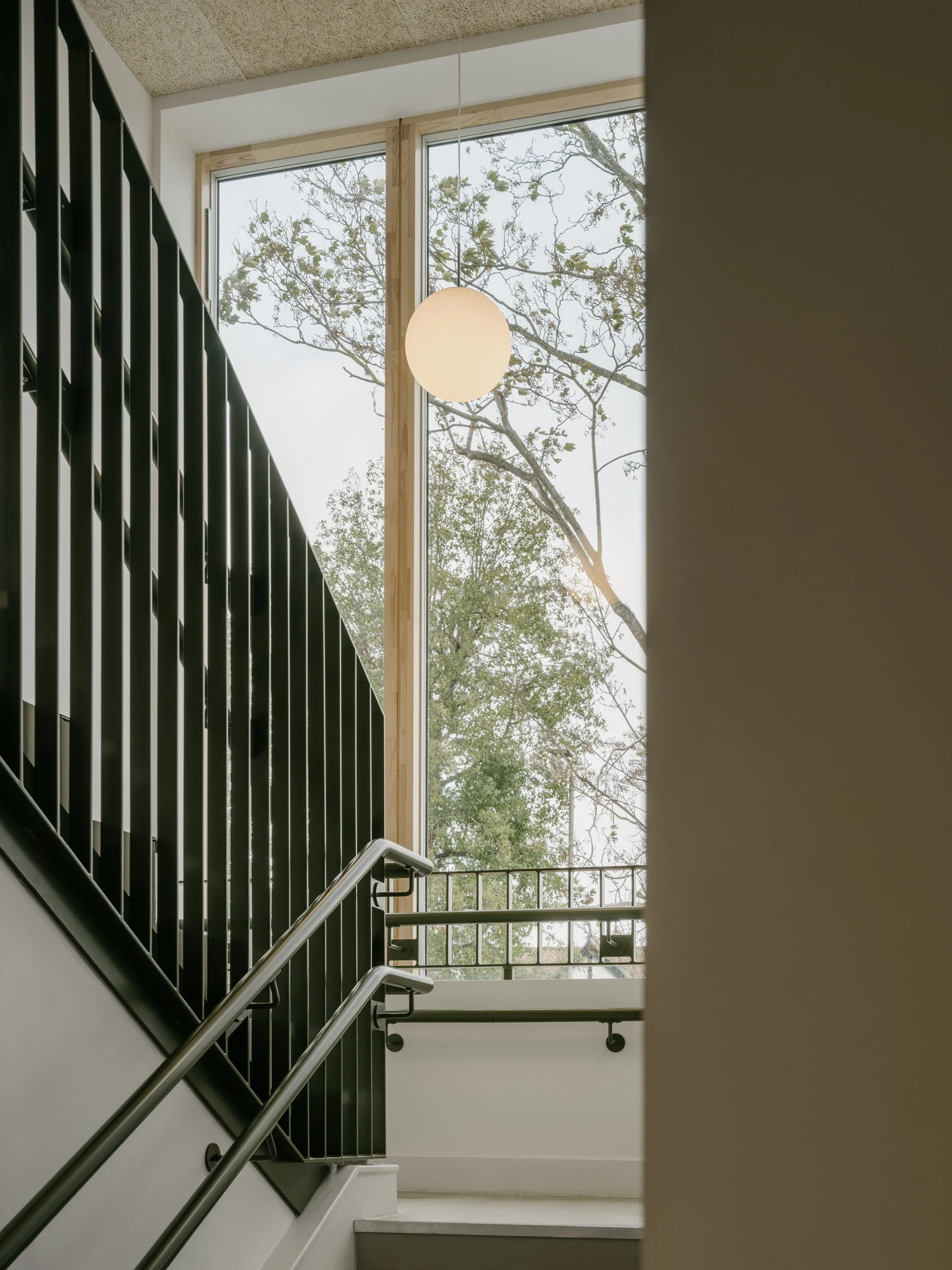 Contemporary school staircase with black metal balustrades, full-height timber-framed glazing, and views to surrounding trees, designed to maximise daylight and wellbeing in educational interiors.