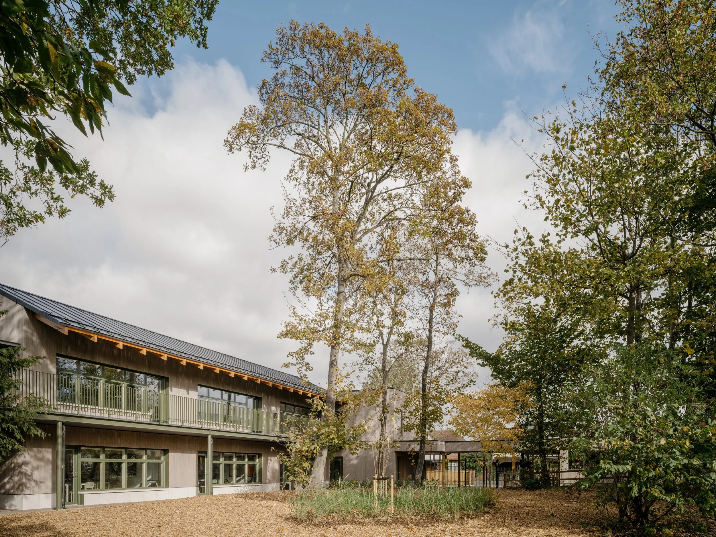 Timber-clad school building set within a landscaped woodland setting, featuring outdoor learning spaces, natural materials, and pupil-centred educational design integrated with mature trees.
