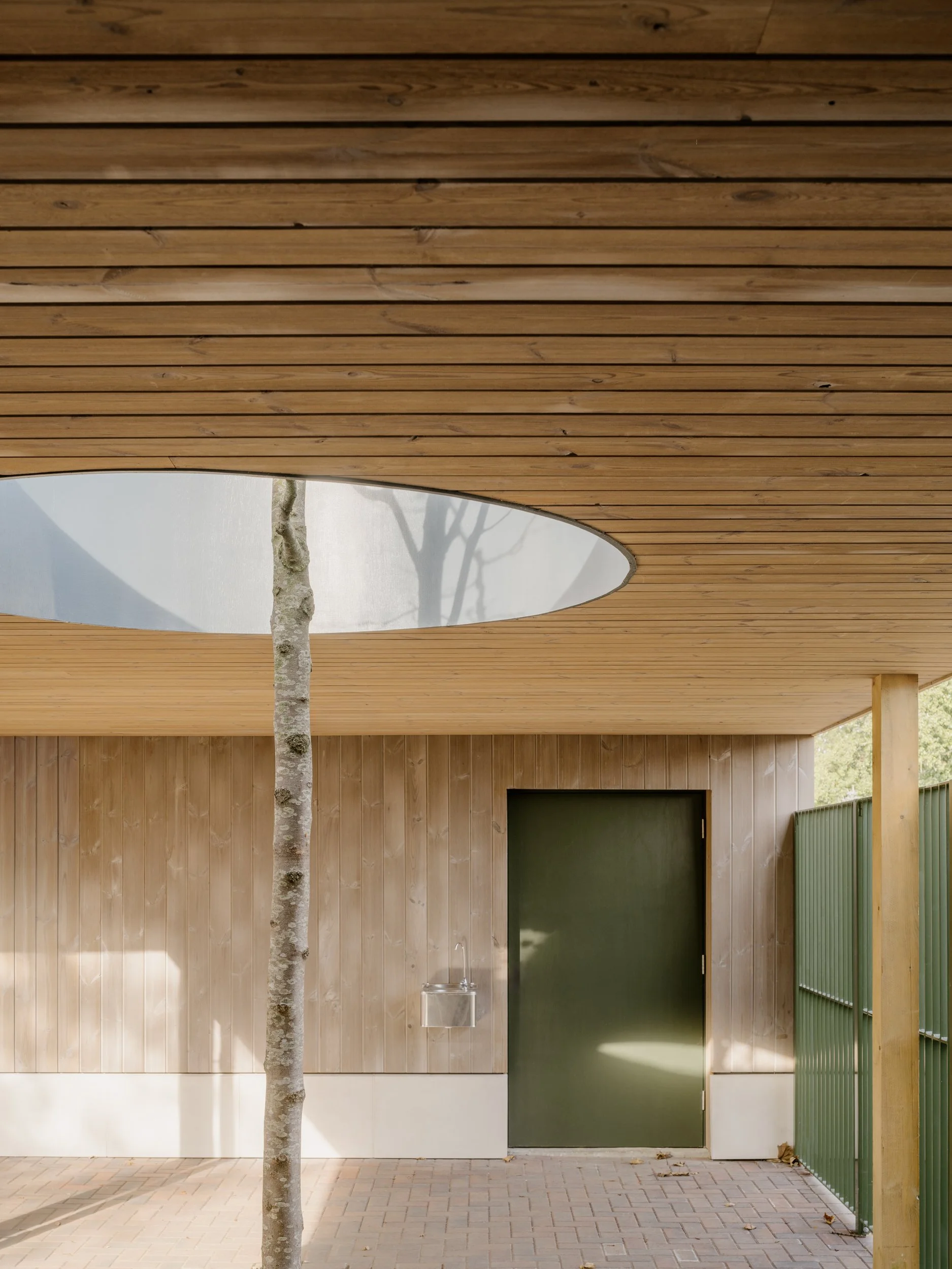 Covered school courtyard with timber soffit, circular roof opening around a retained tree, and natural material detailing designed to support outdoor learning and wellbeing.