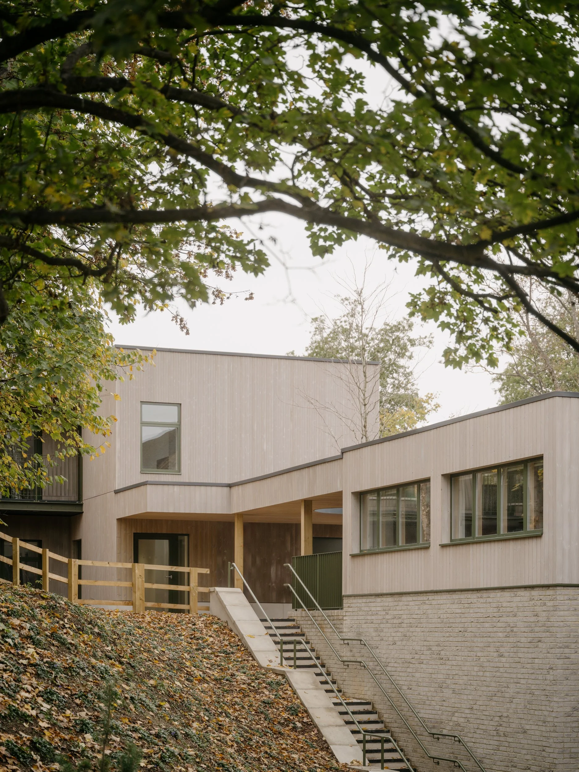 Contemporary school building with timber cladding, landscaped access routes, and woodland surroundings designed to connect educational spaces with nature and outdoor learning.