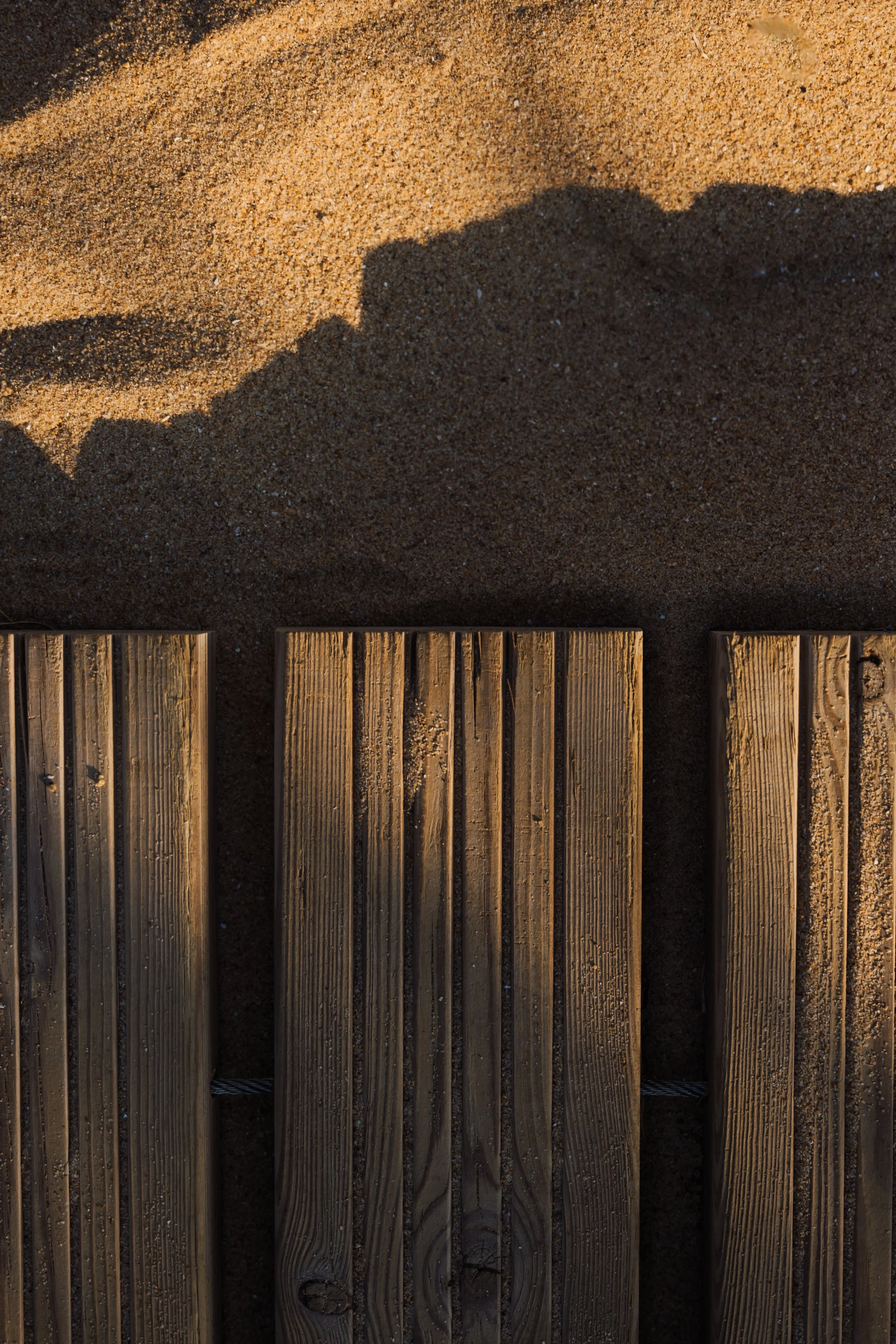 N65A9818.jpg